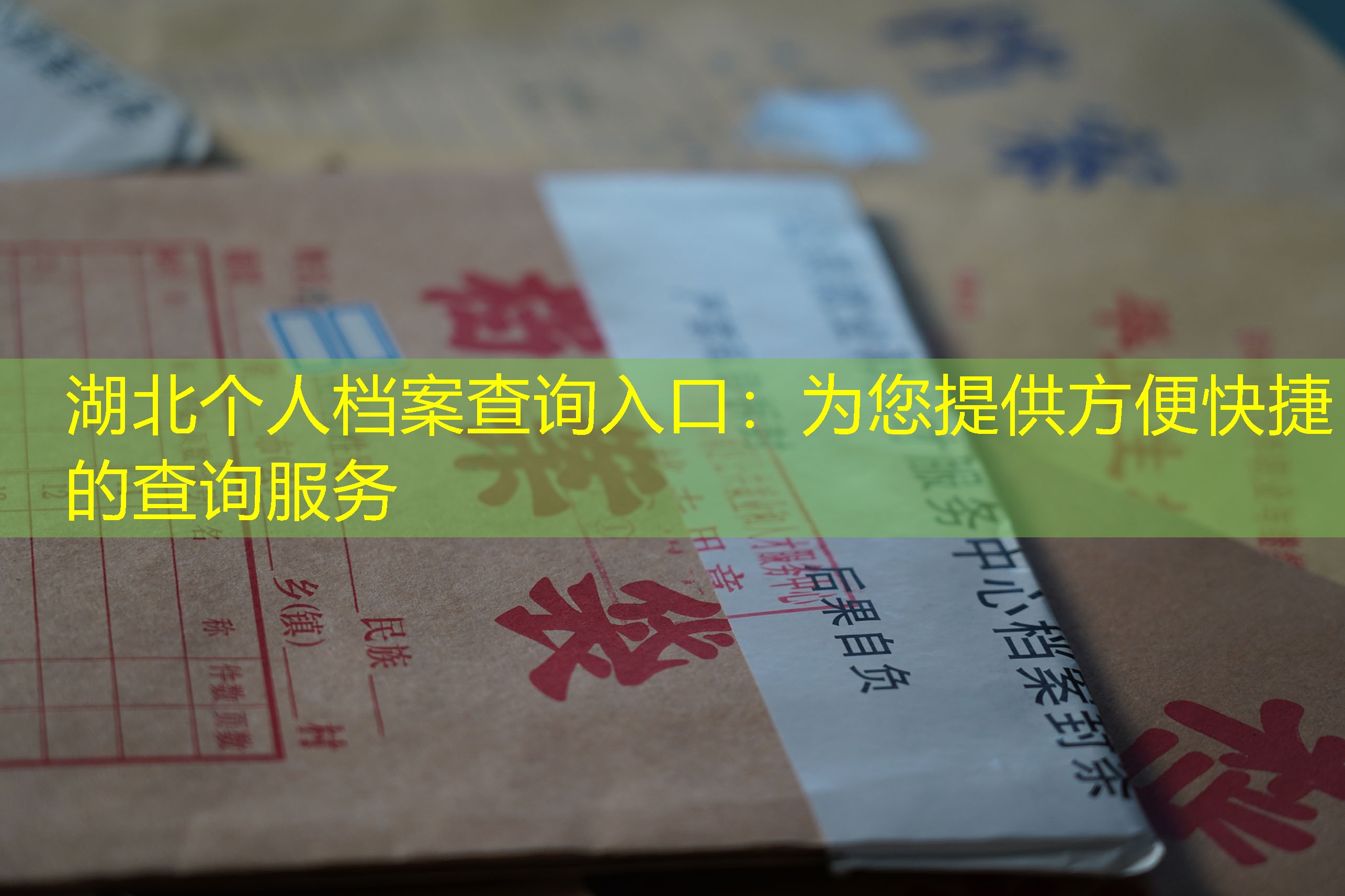 档案查询