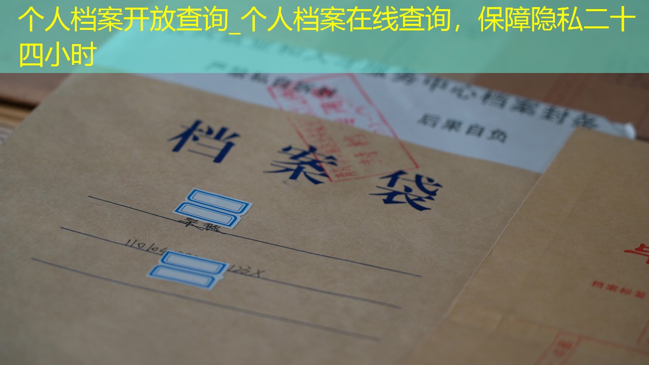 档案查询
