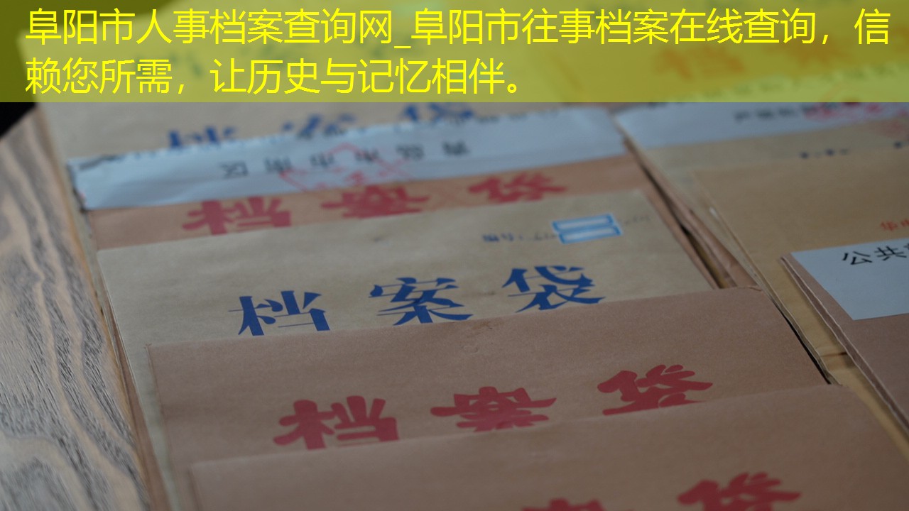 档案查询