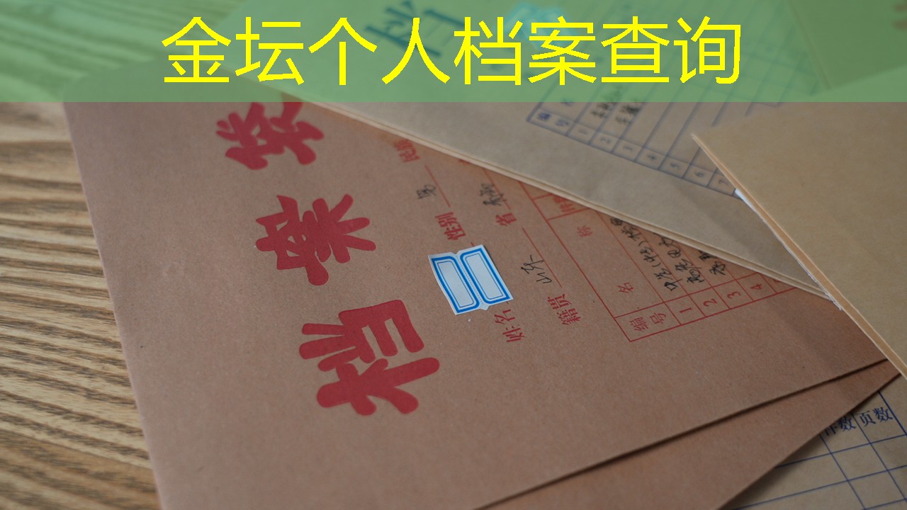 档案查询