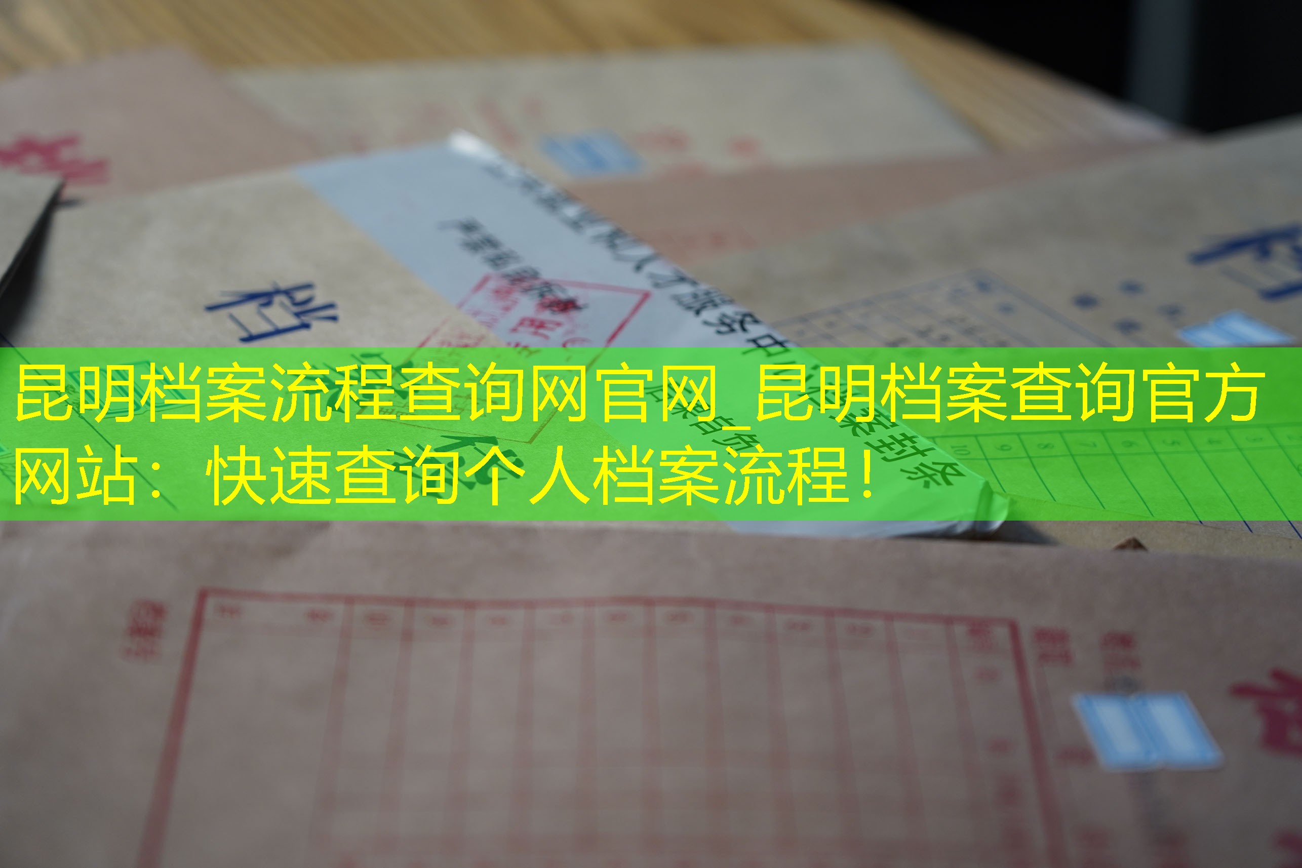 档案查询