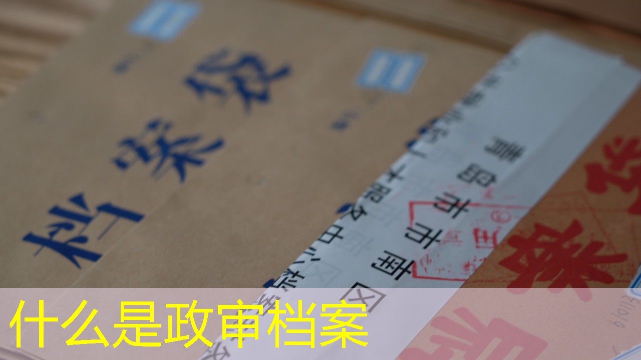 档案查询