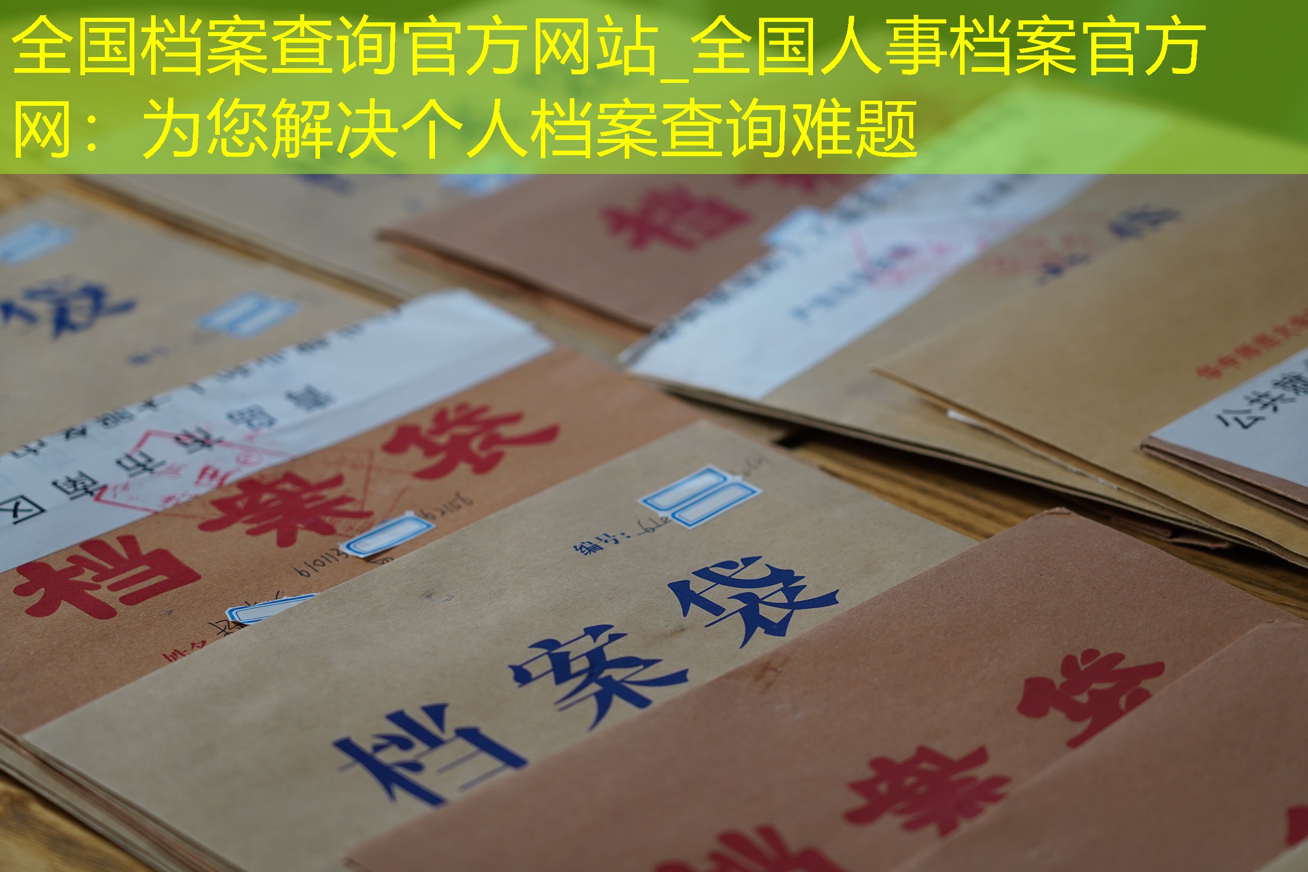 档案查询