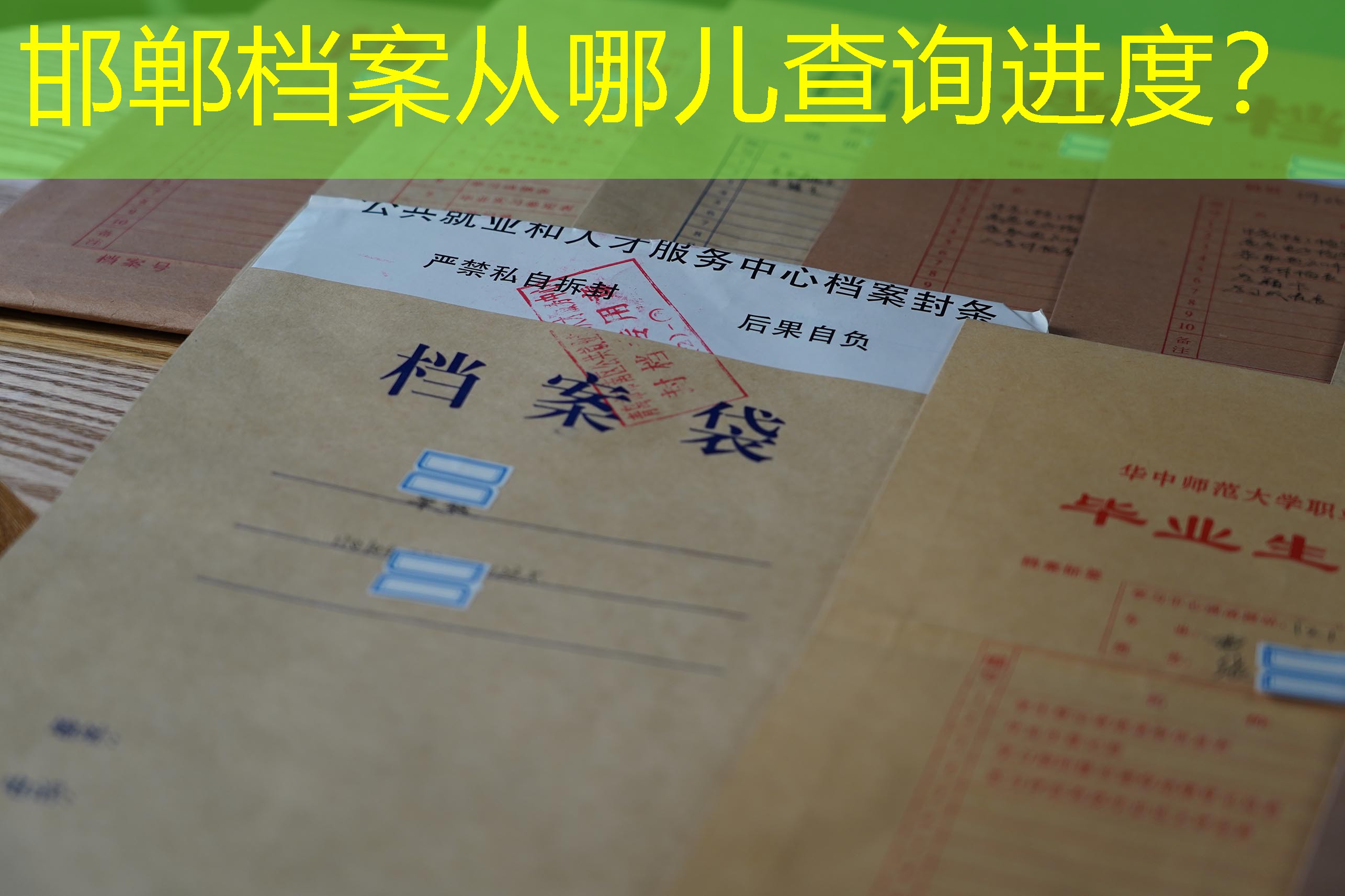 档案查询
