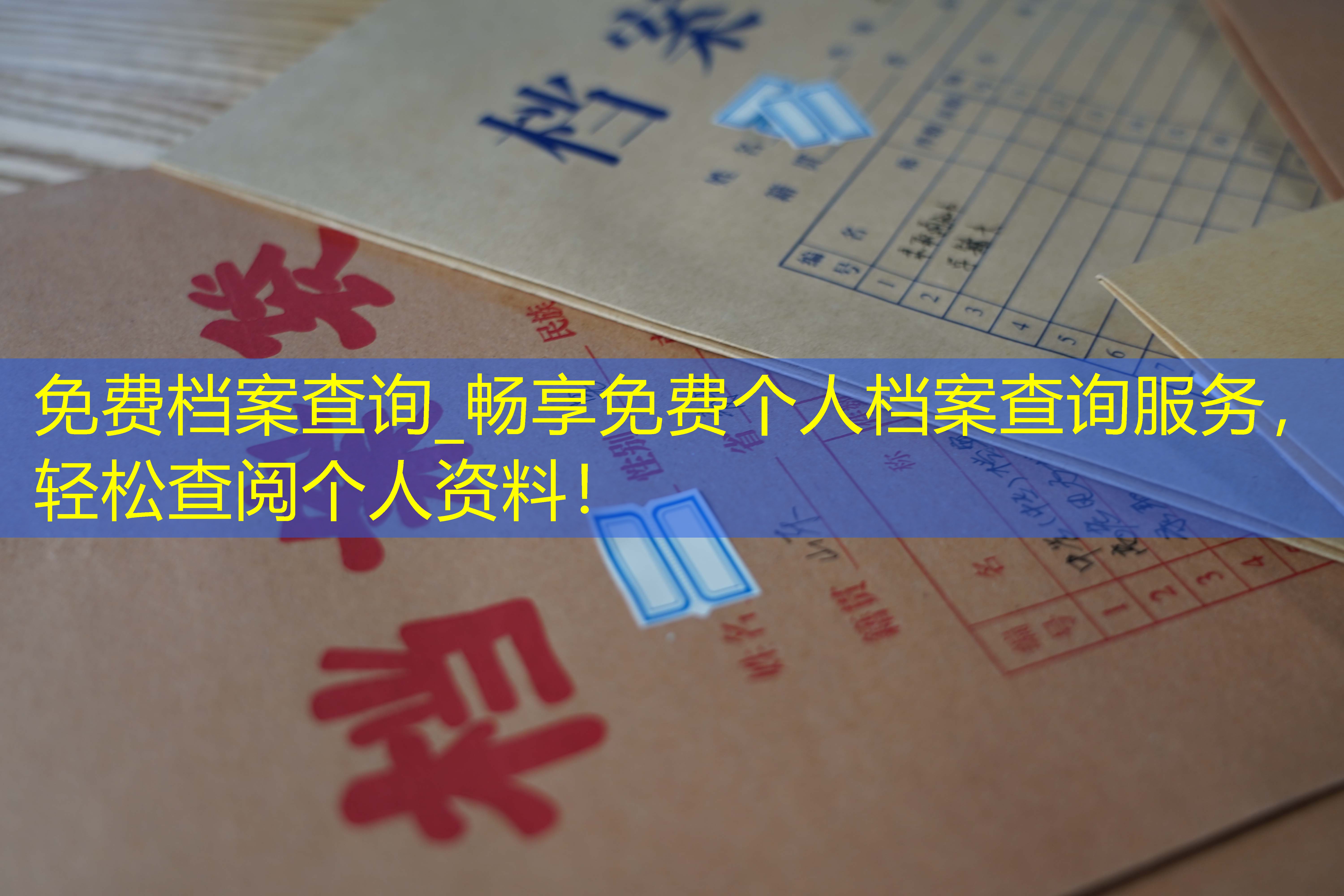 档案查询