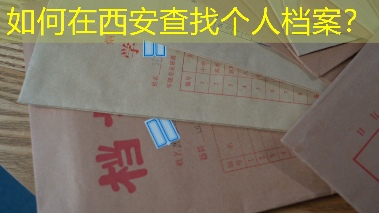 档案查询