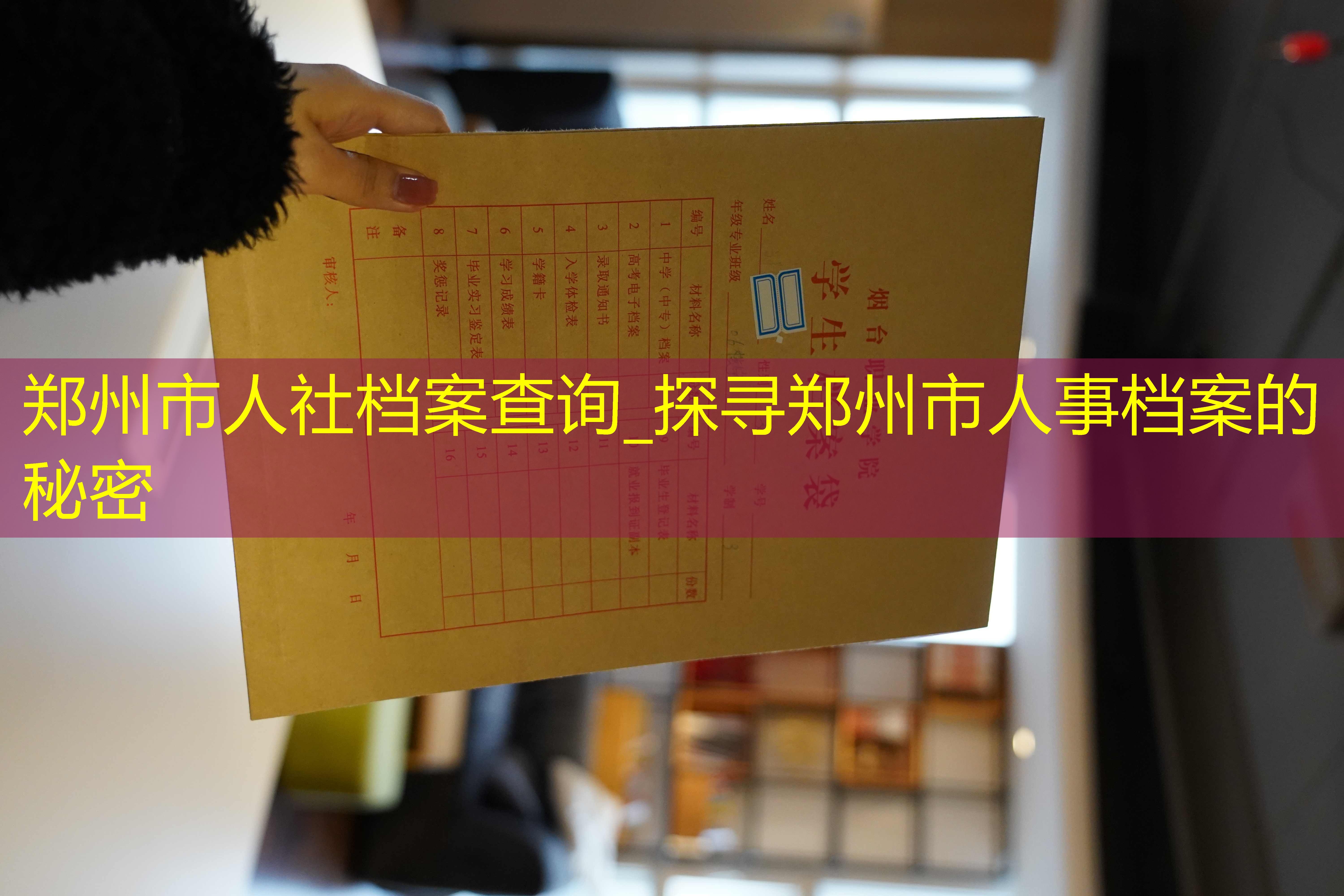 档案查询