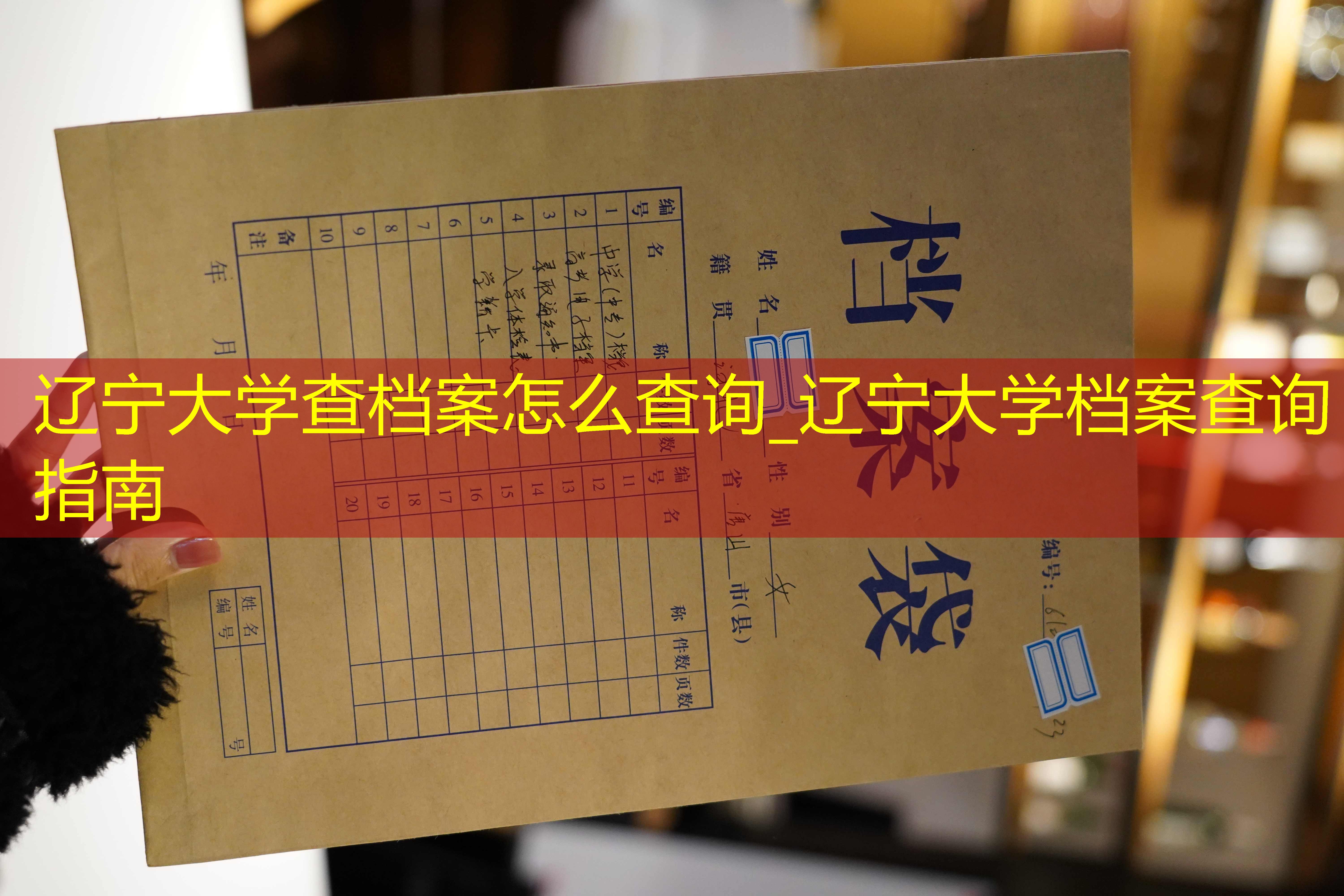 档案查询