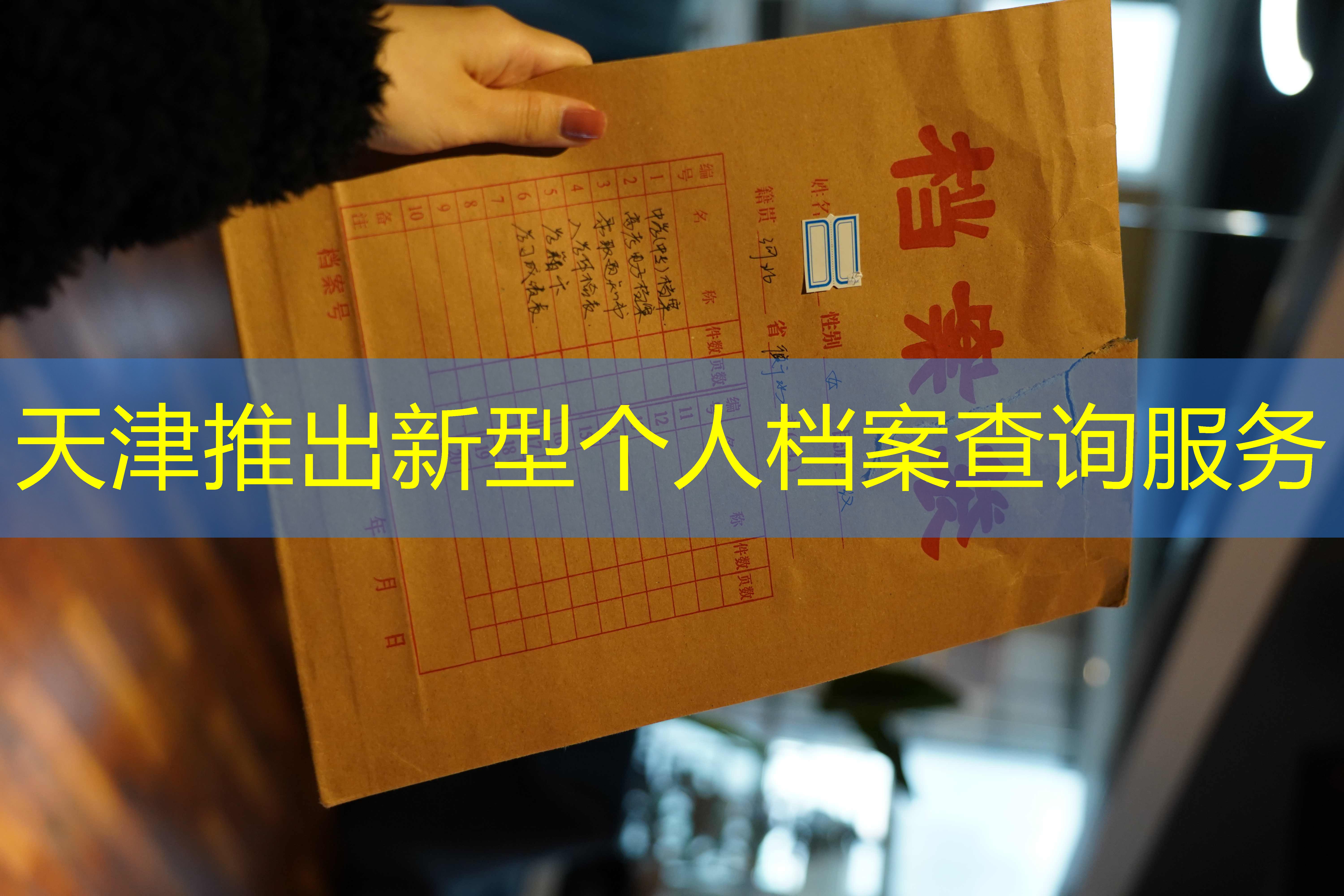 档案查询