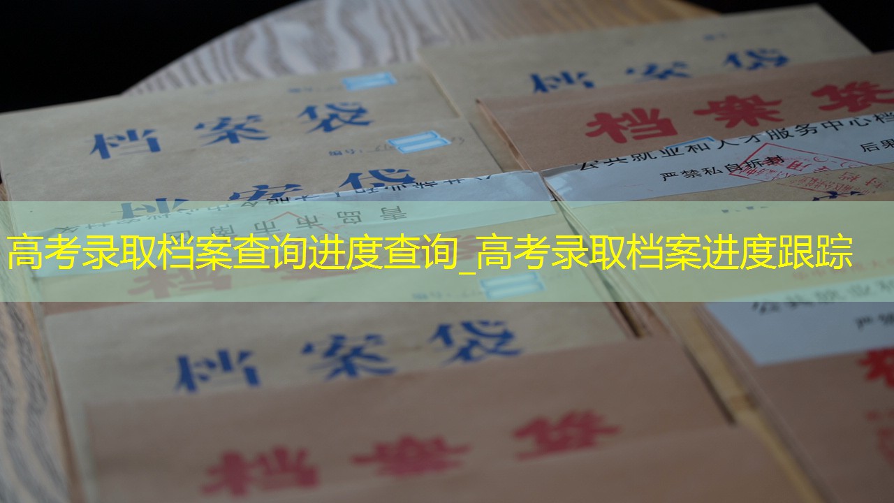 档案查询