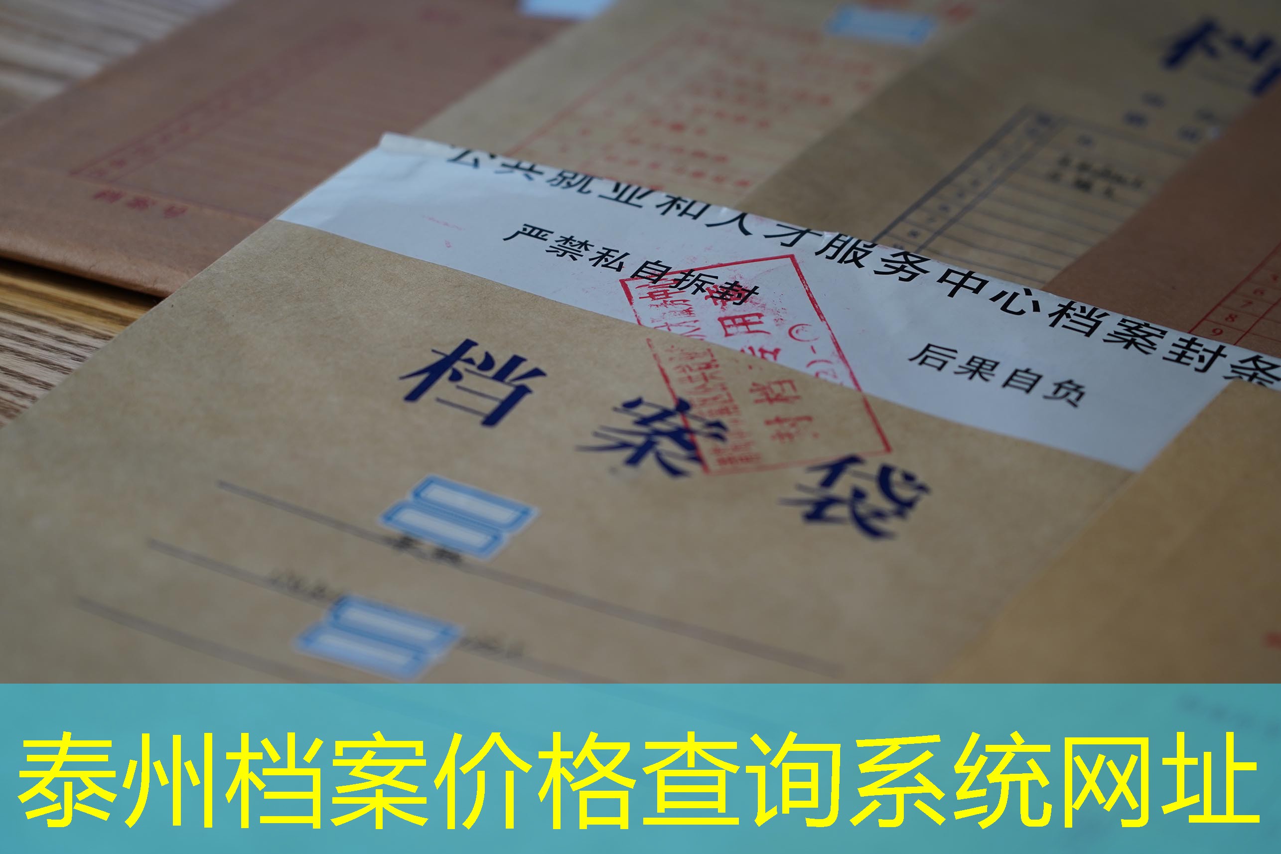 档案查询