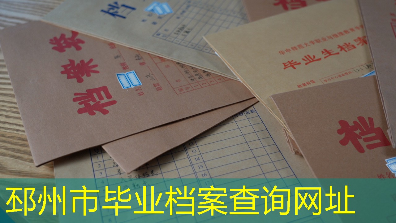 档案查询