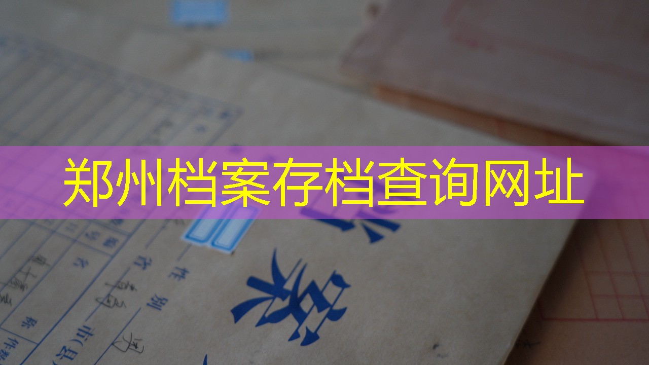 档案查询