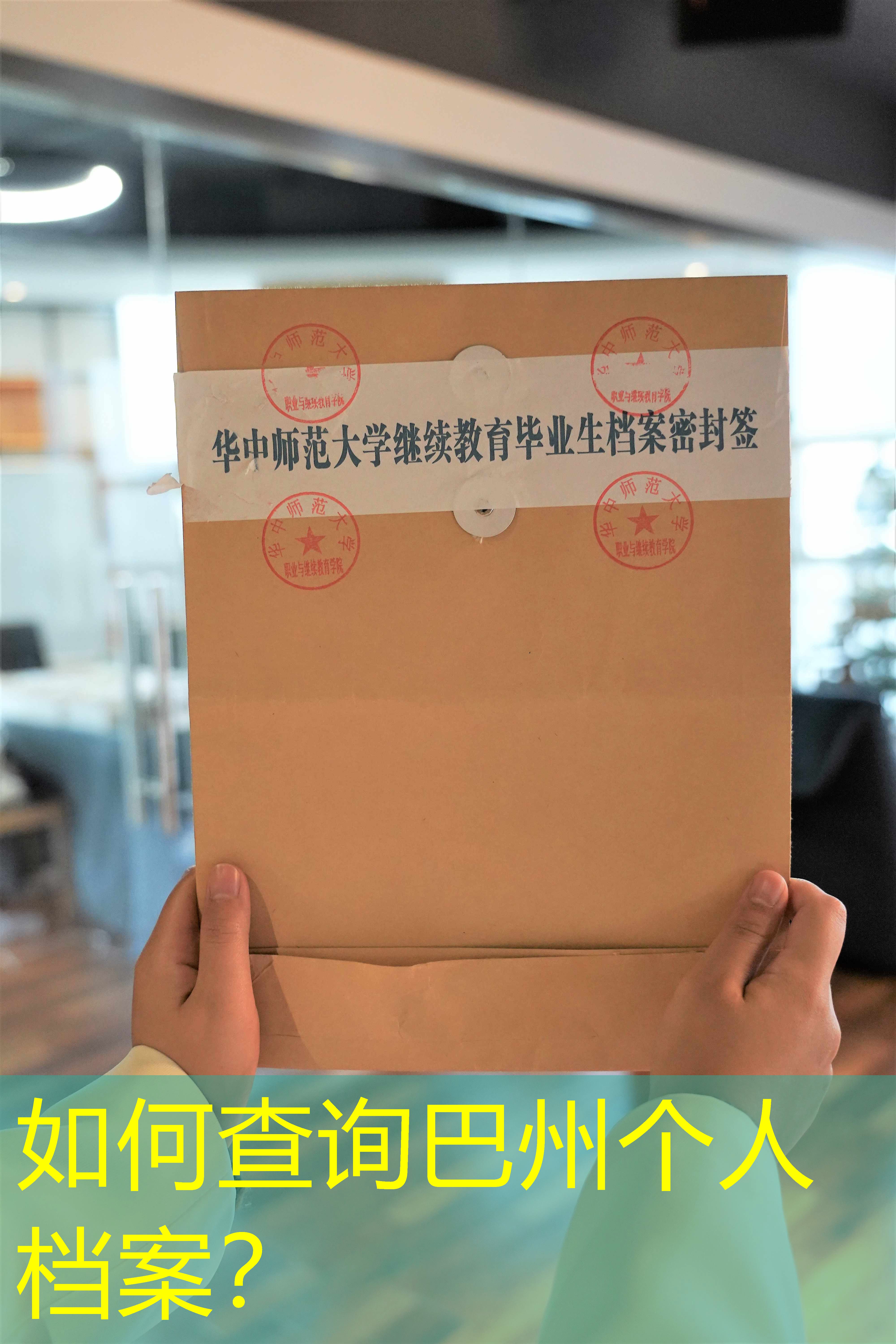 档案查询