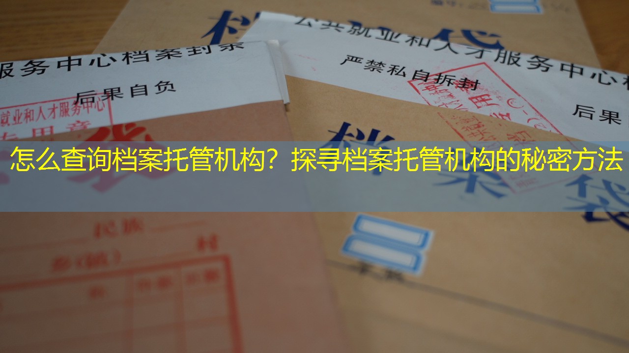 档案查询