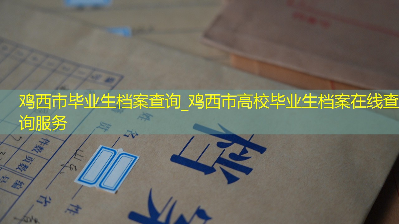 档案查询