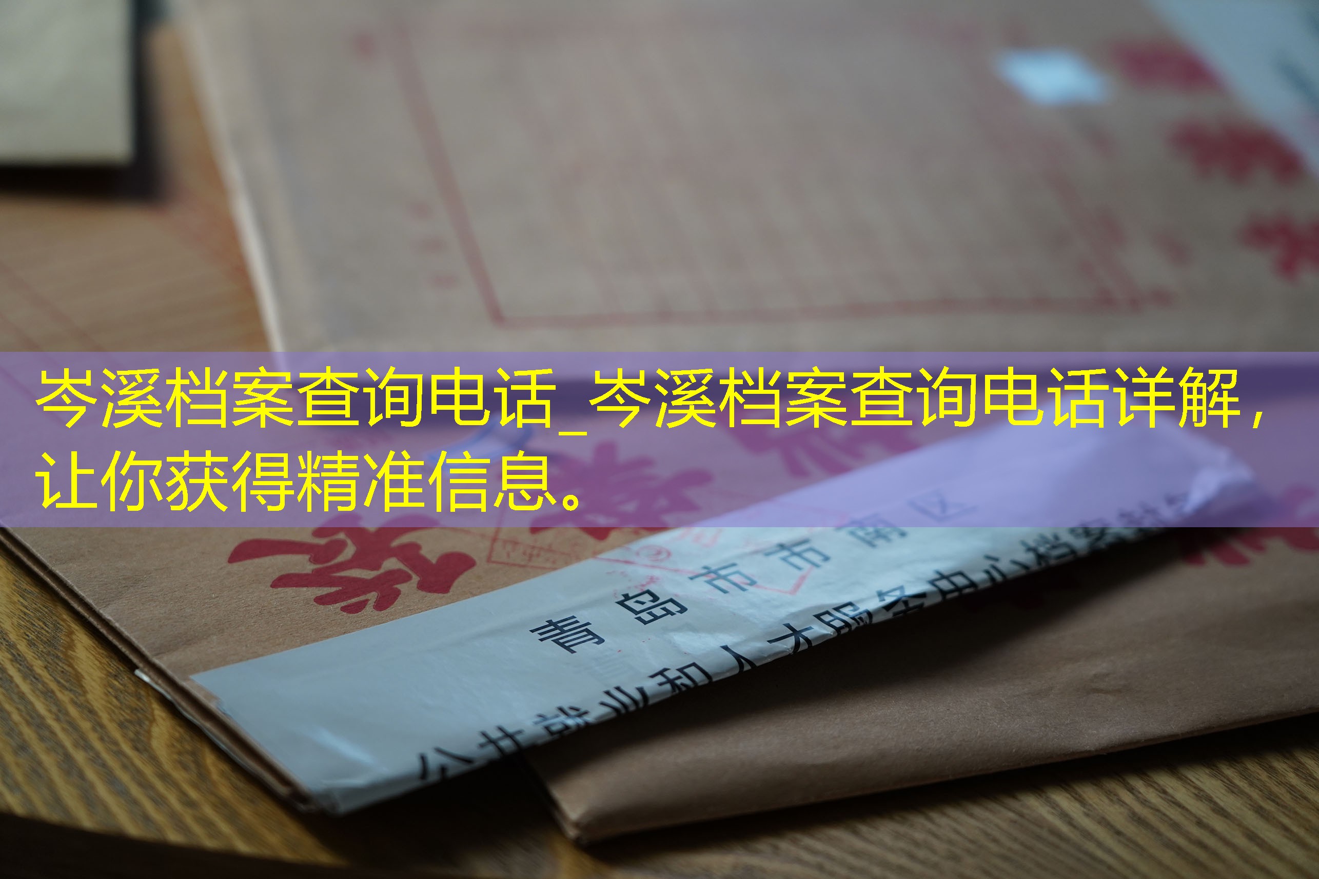档案查询