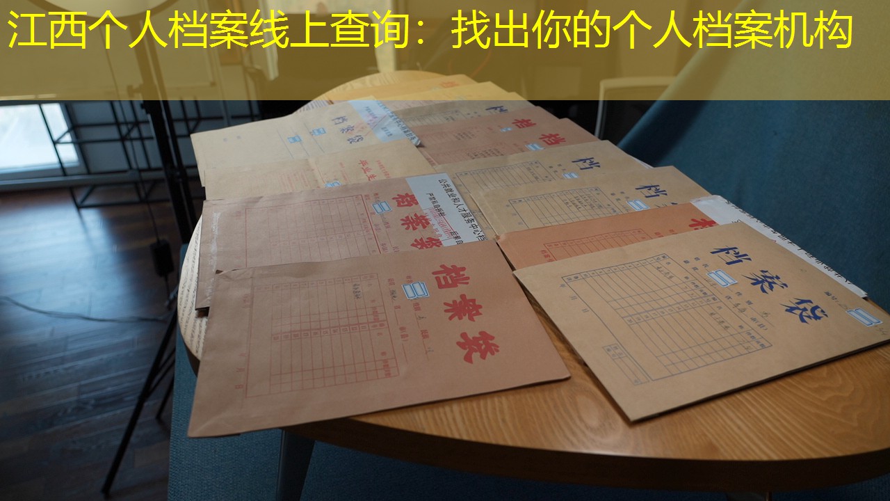 档案查询