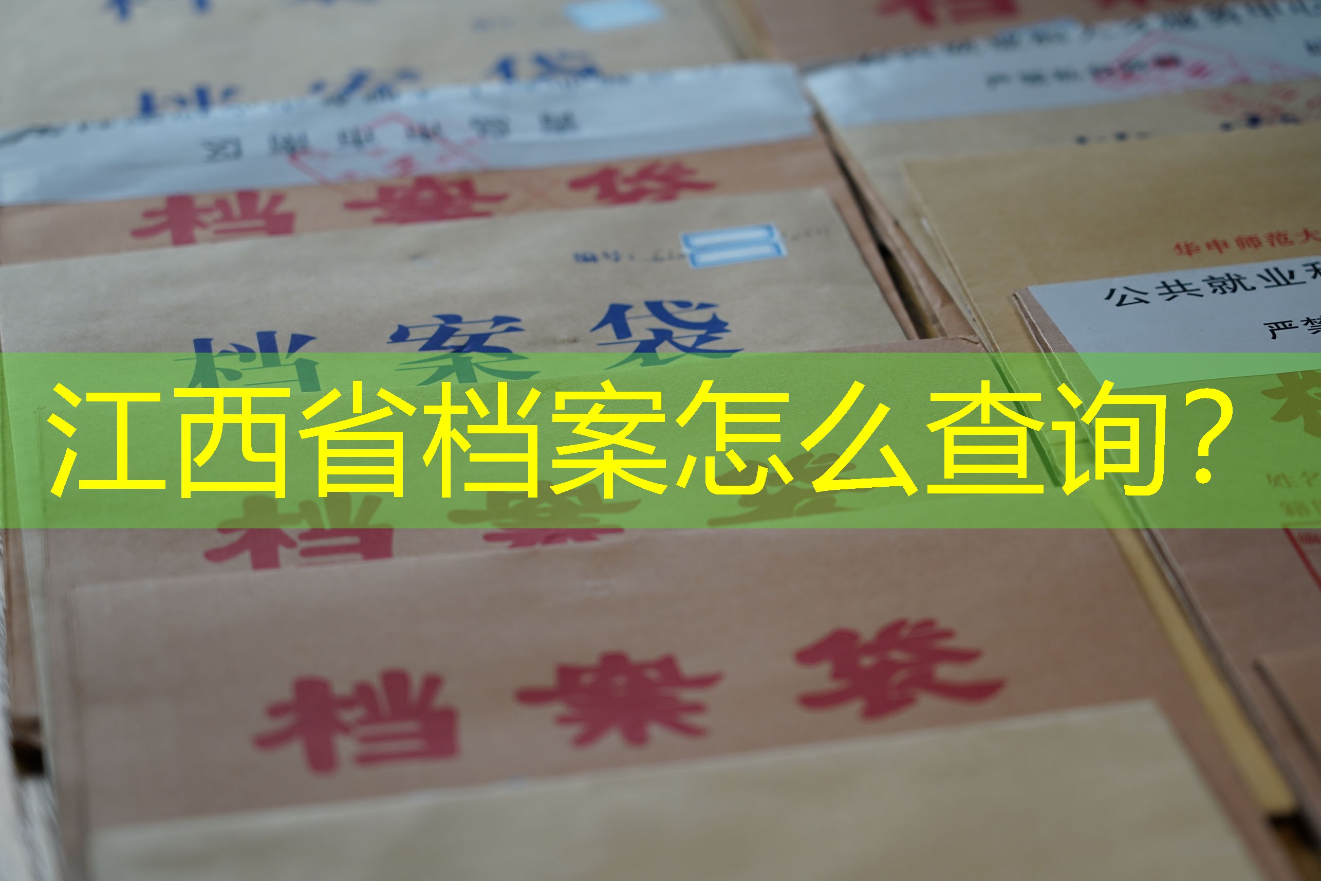 档案查询
