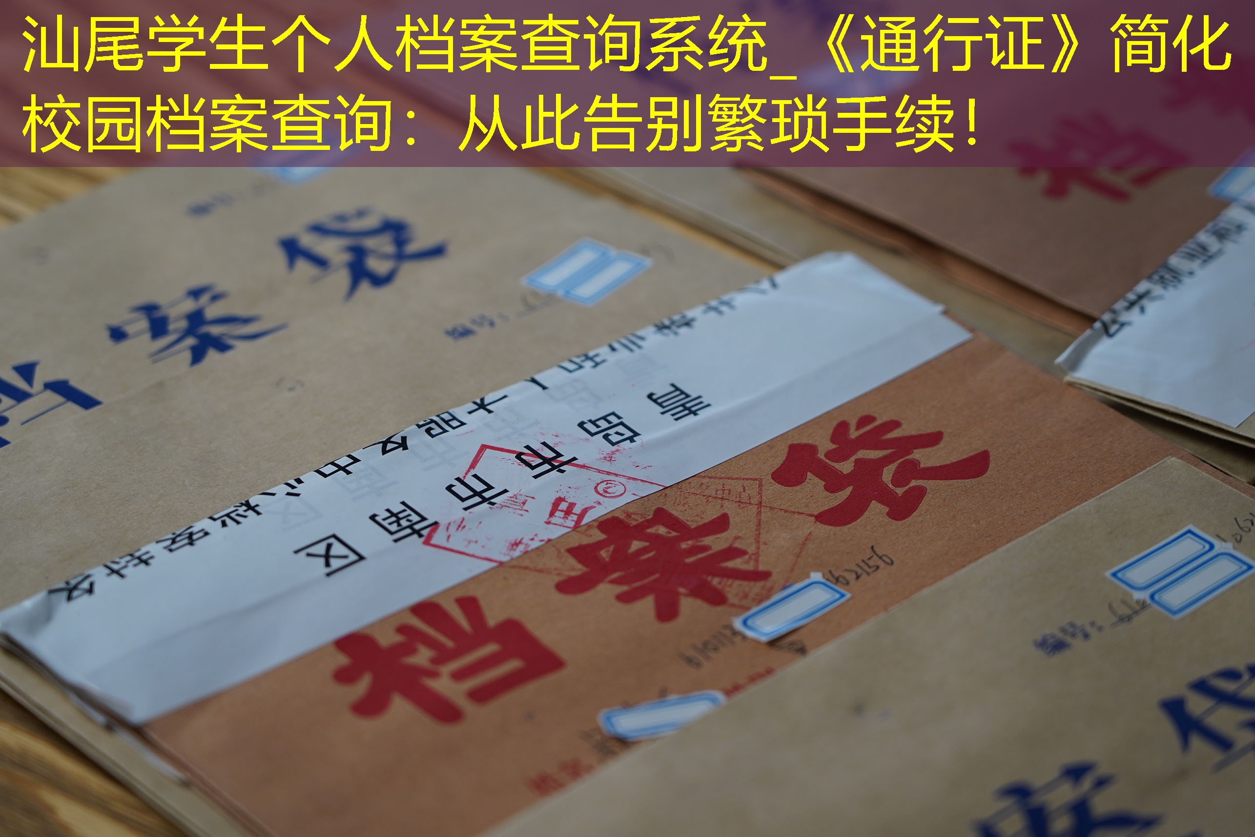 档案查询