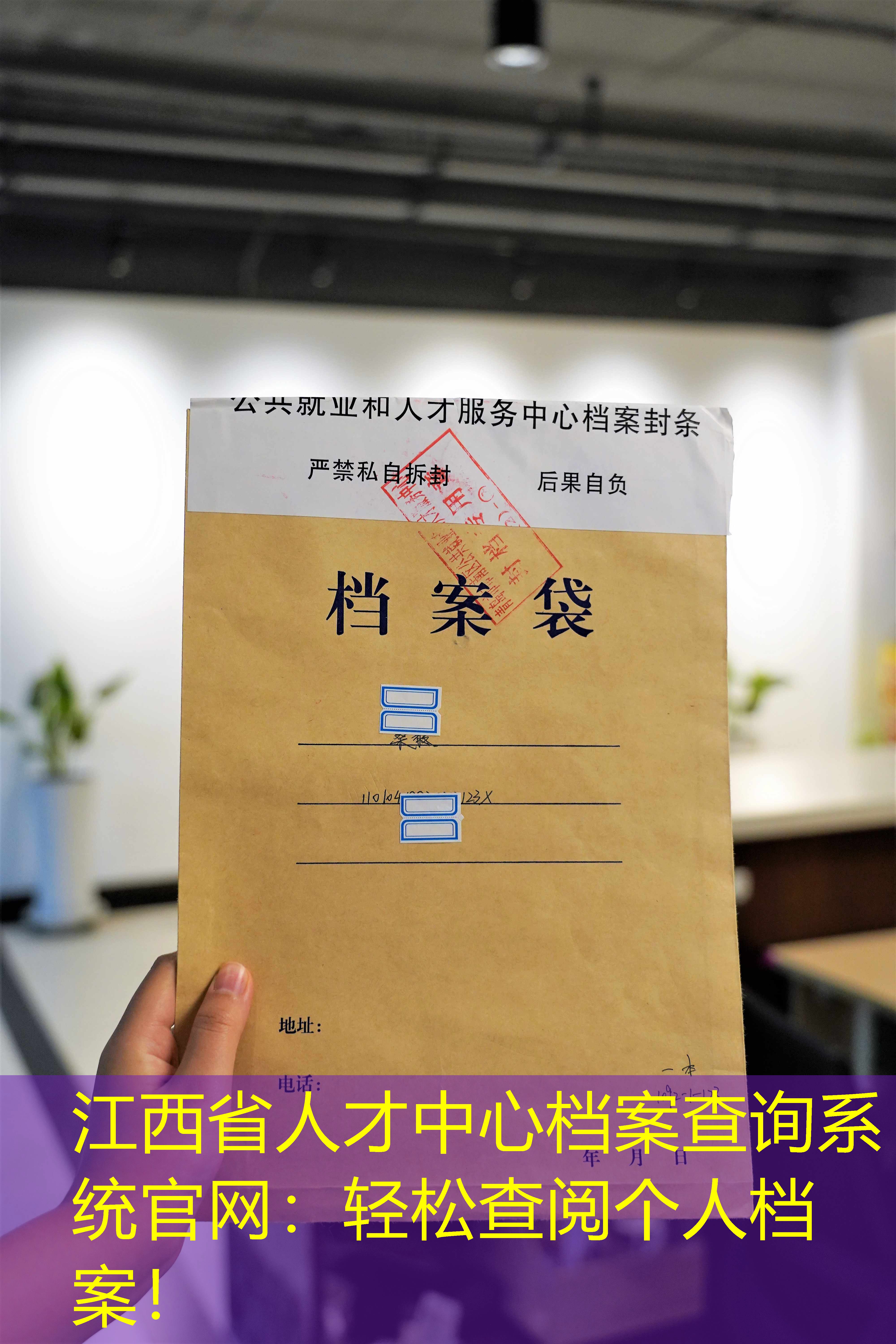 档案查询