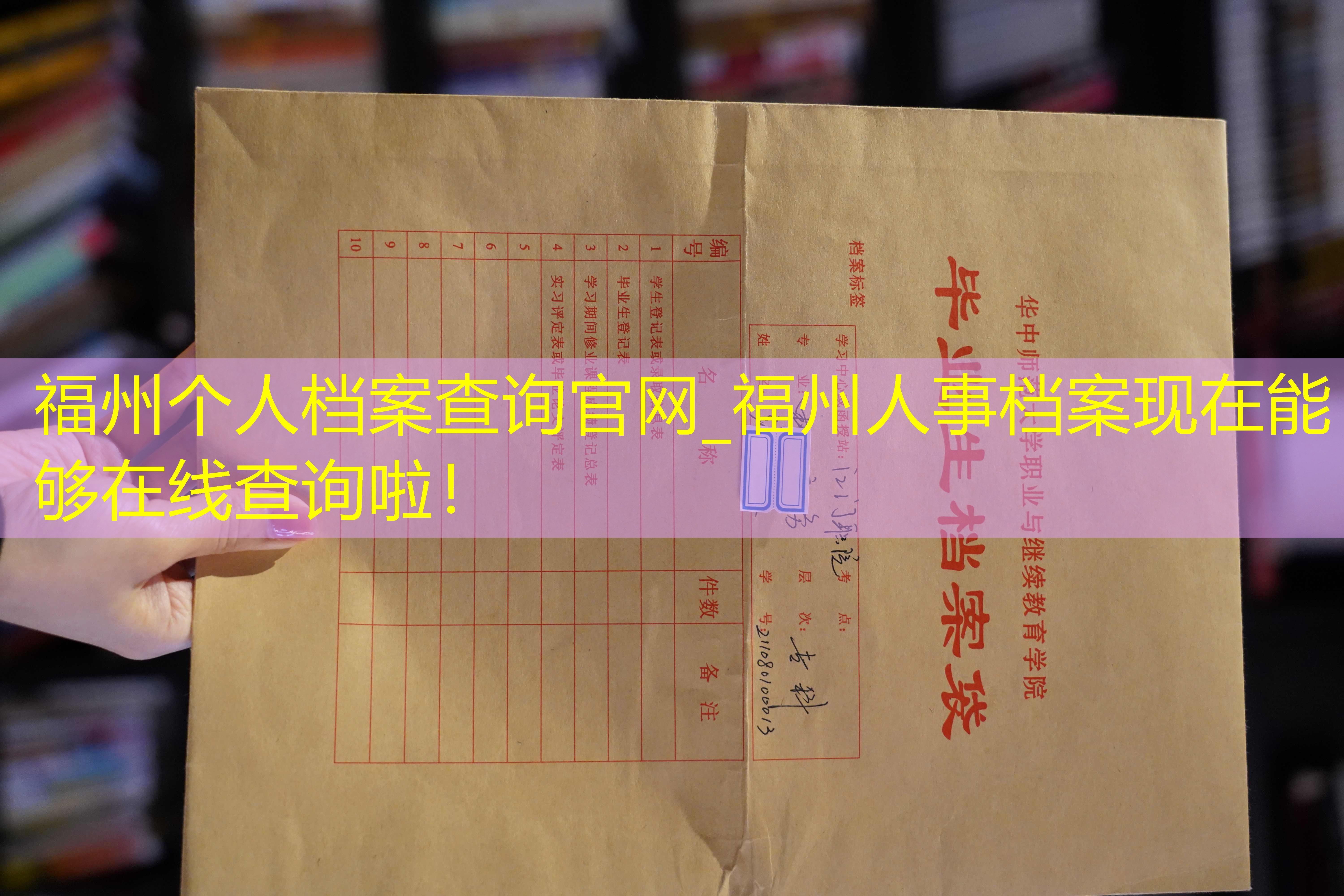 档案查询