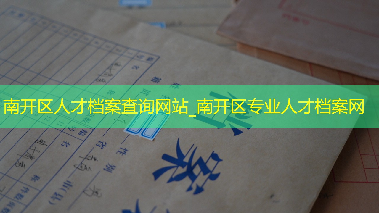 档案查询