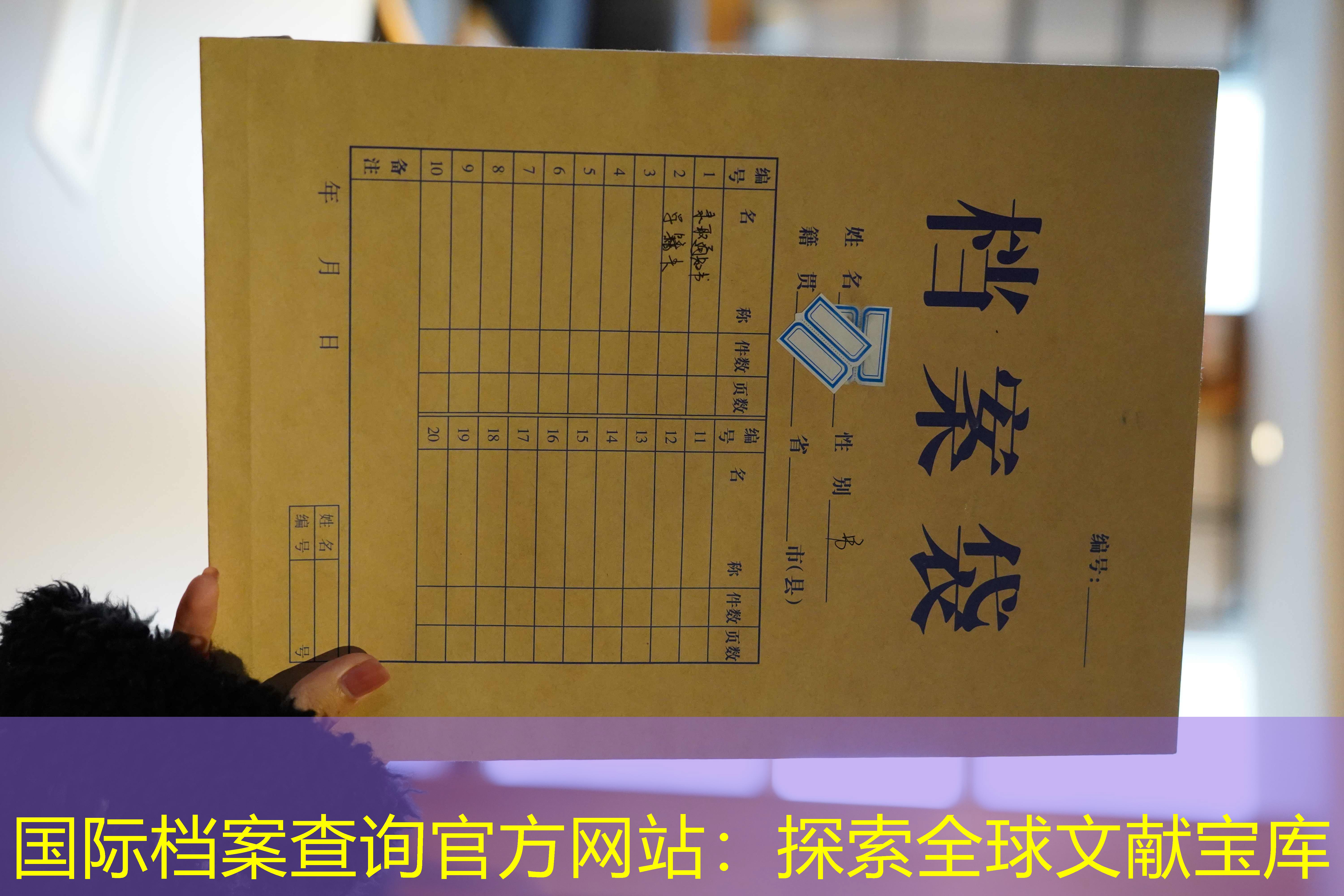 档案查询