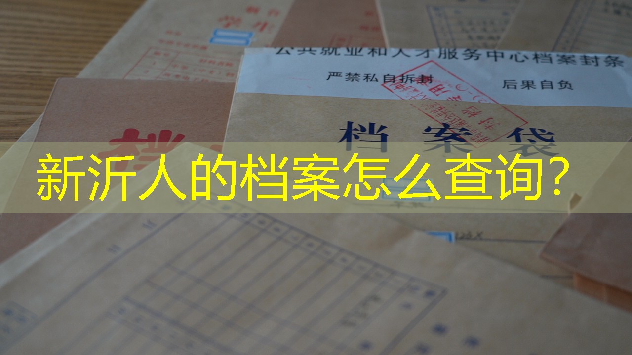 档案查询