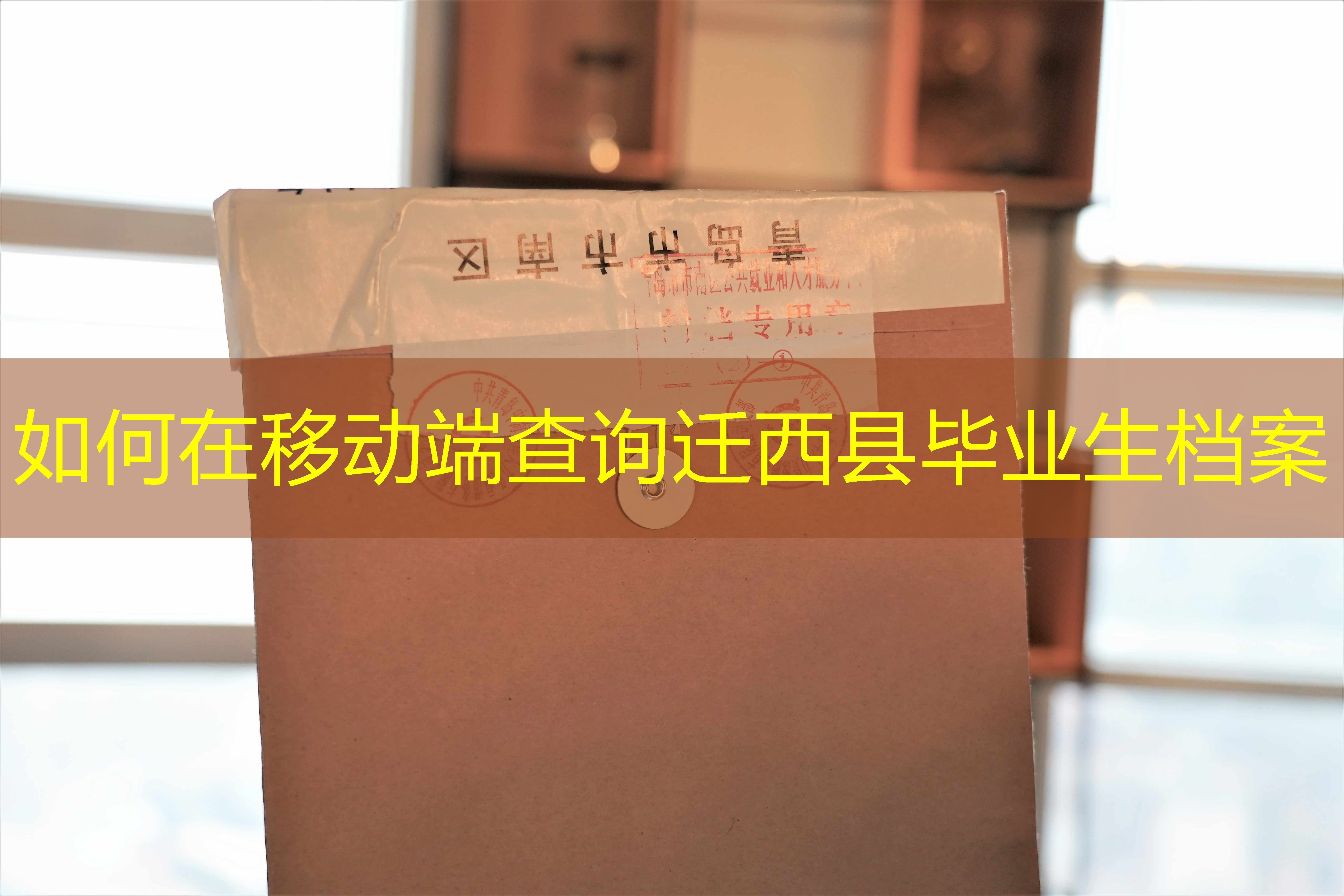 档案查询
