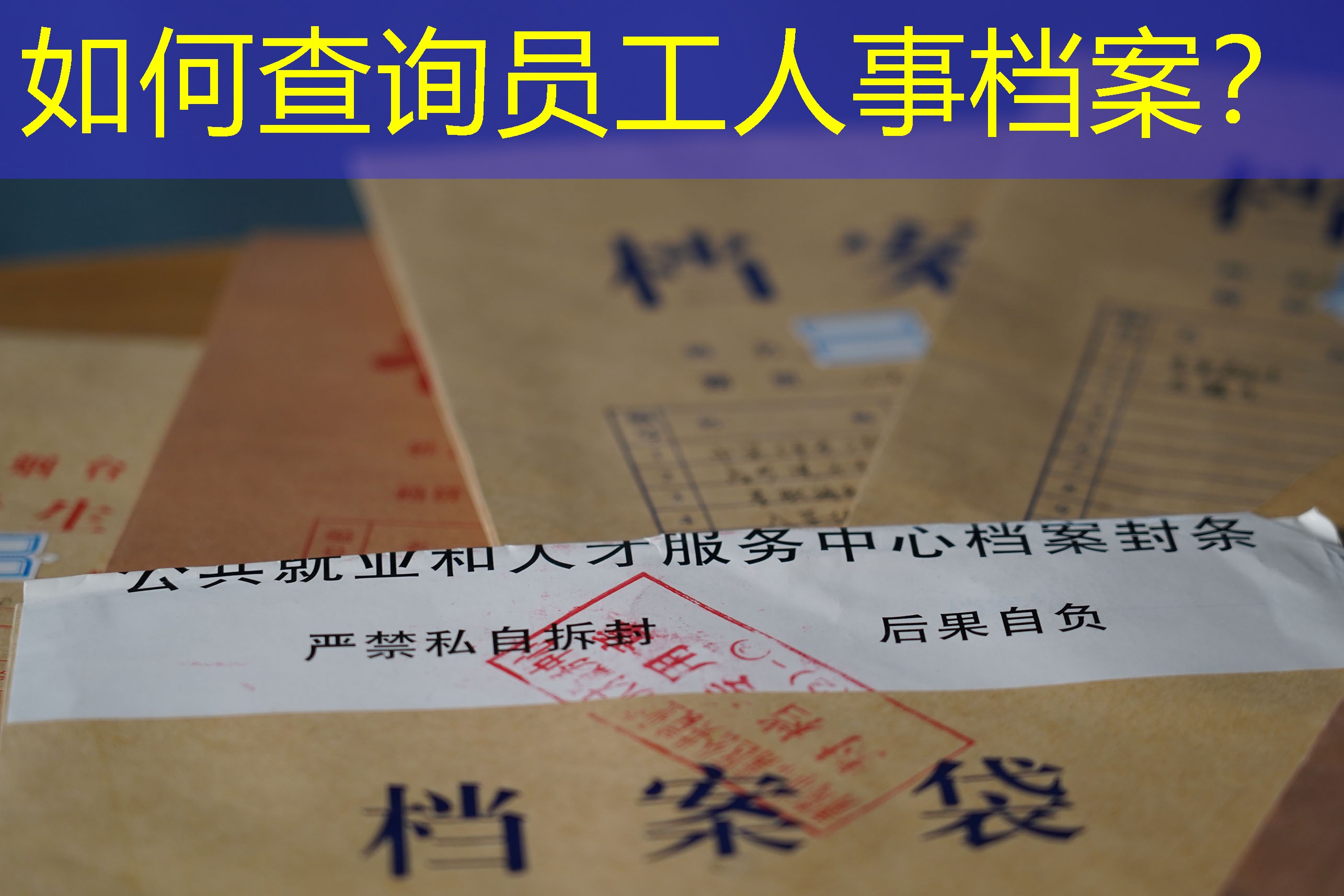 档案查询