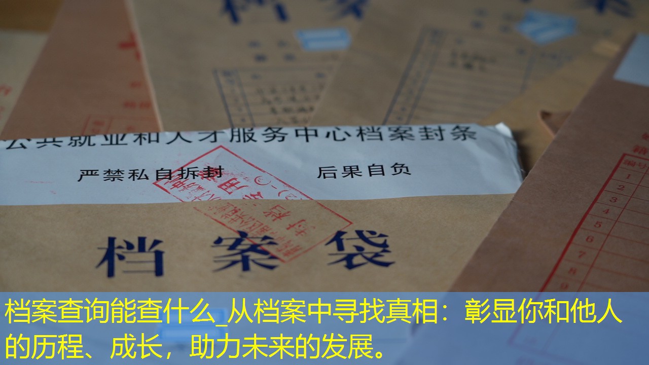 档案查询