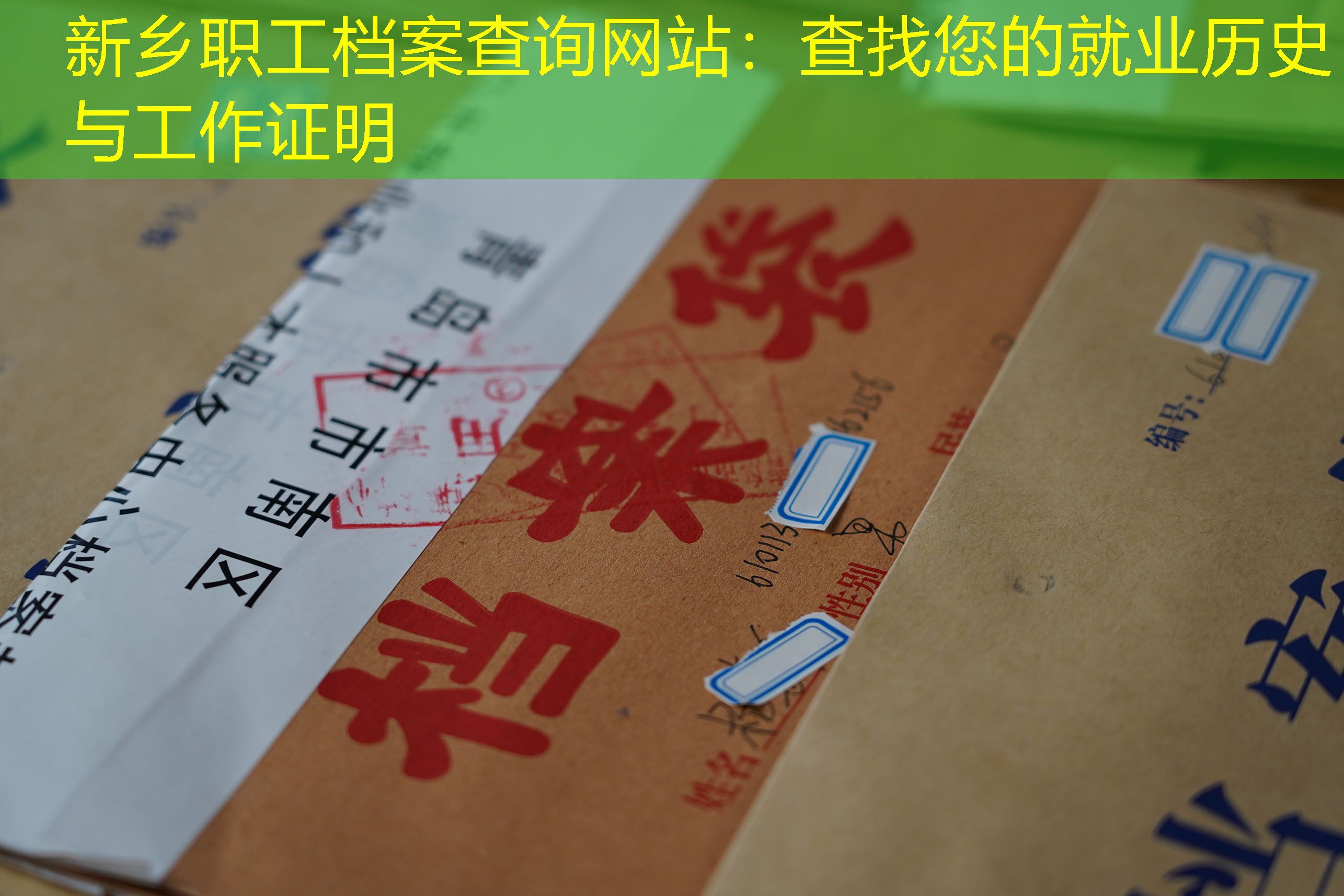 档案查询