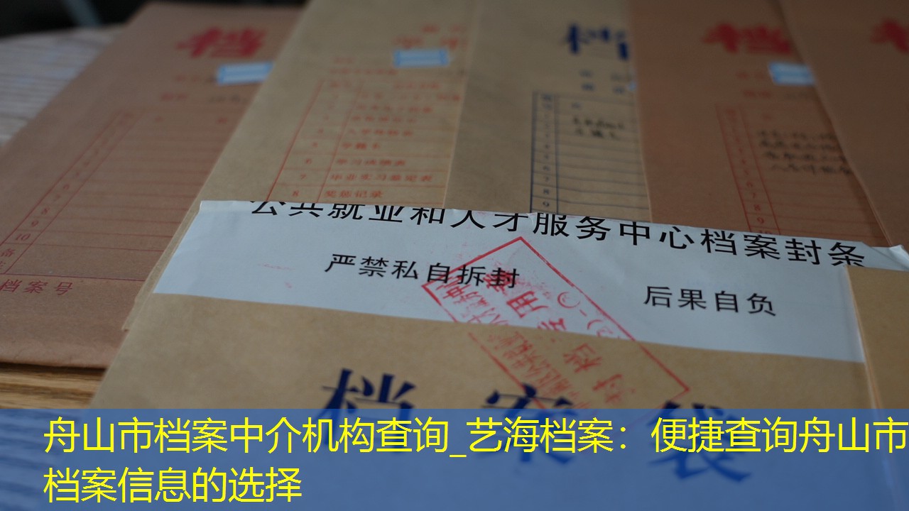 档案查询