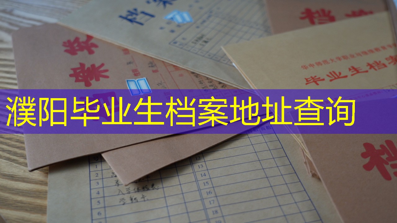 档案查询