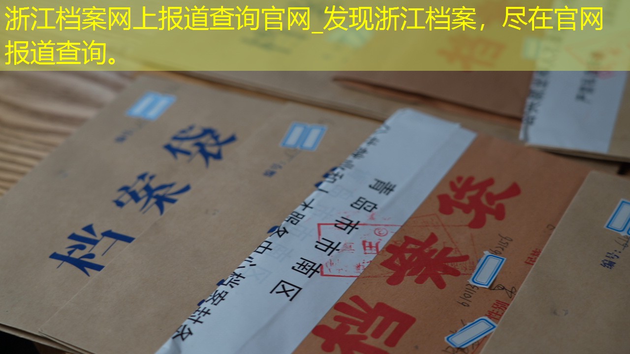档案查询