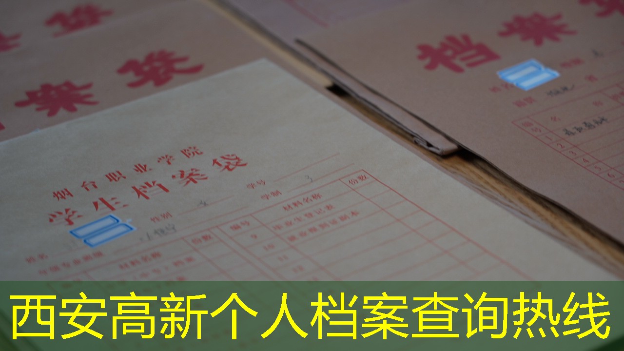 档案查询