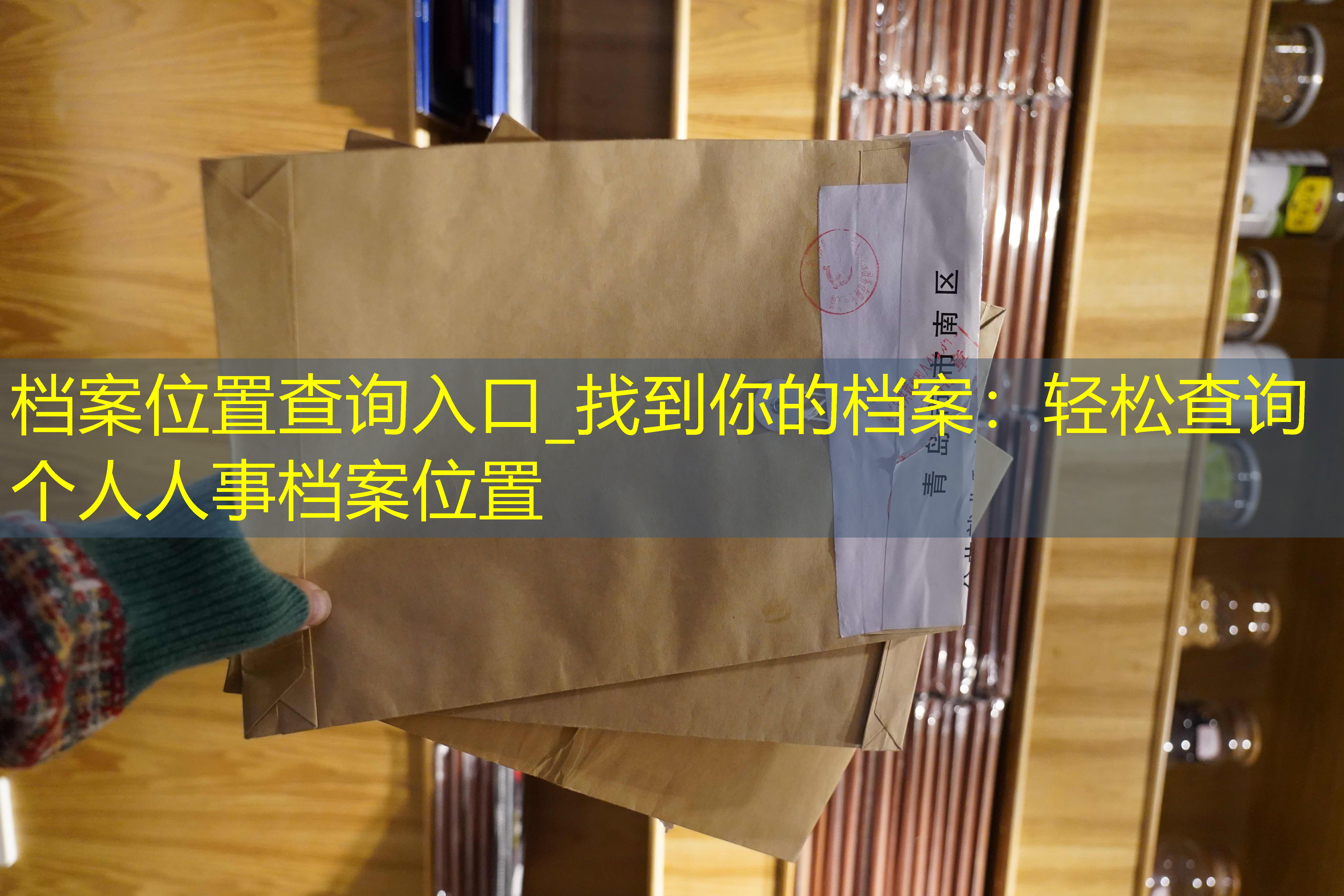 档案查询