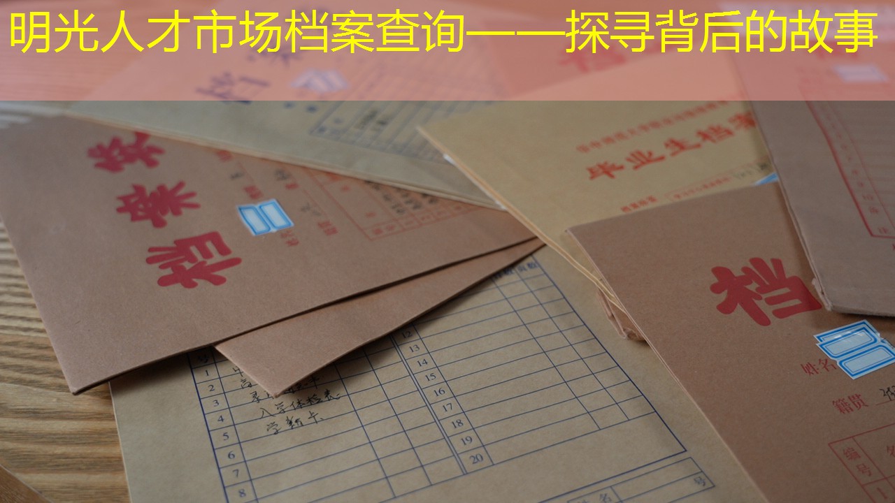 档案查询