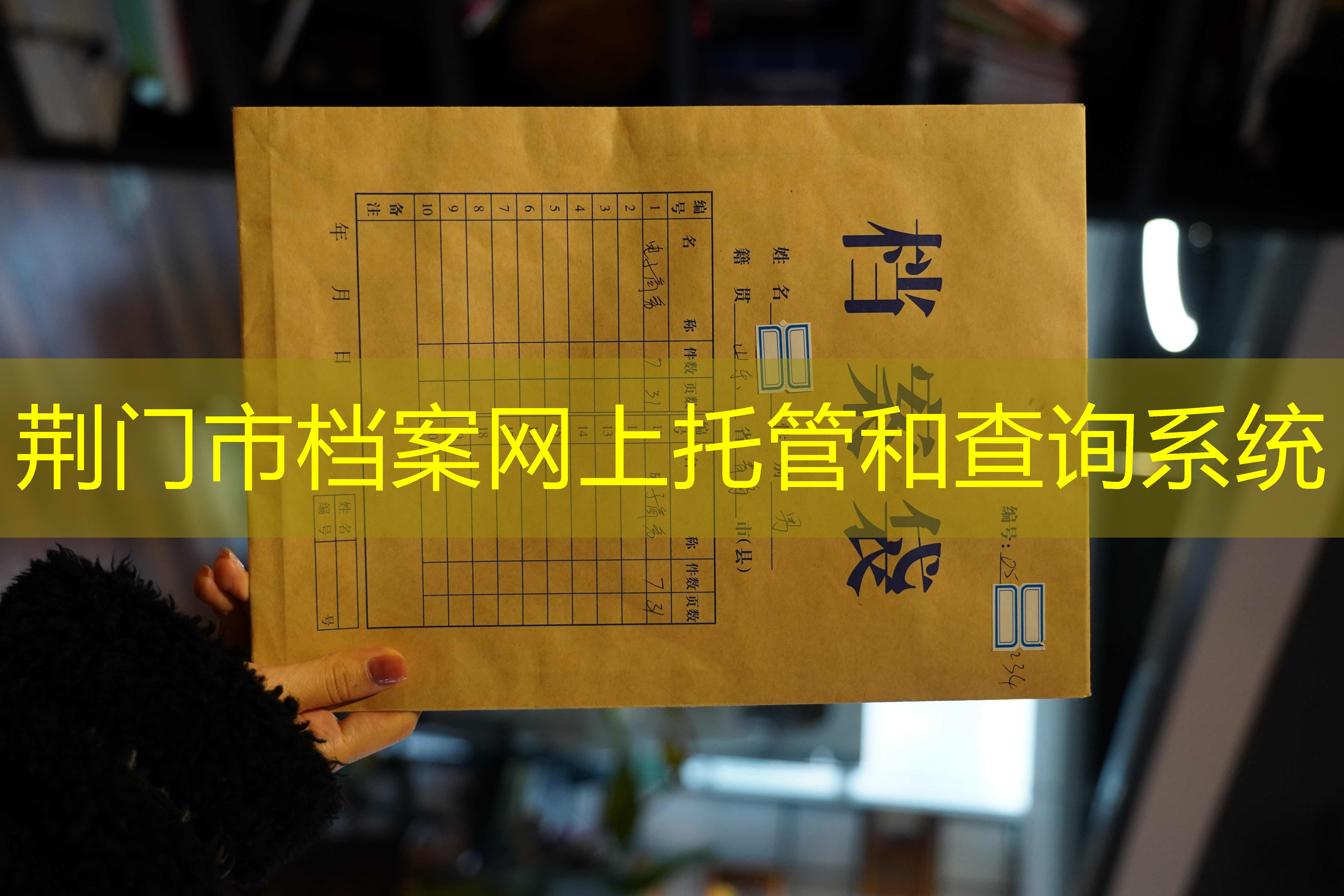 档案查询