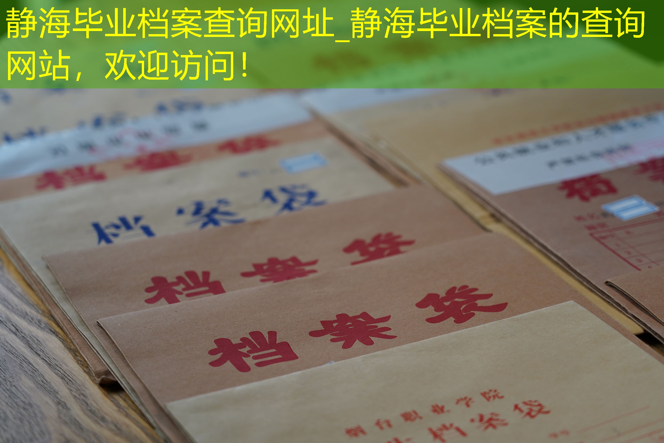 档案查询