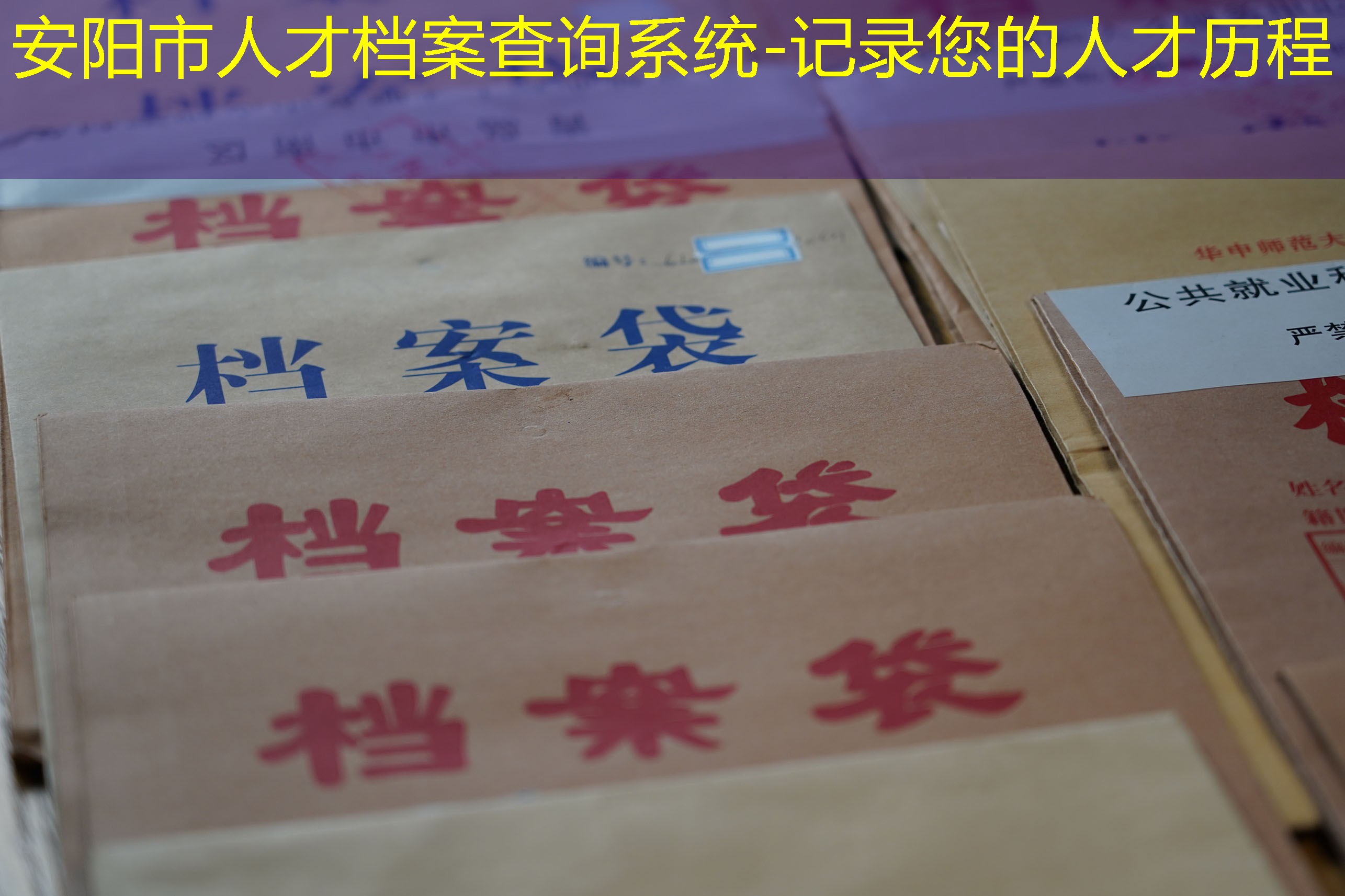 档案查询