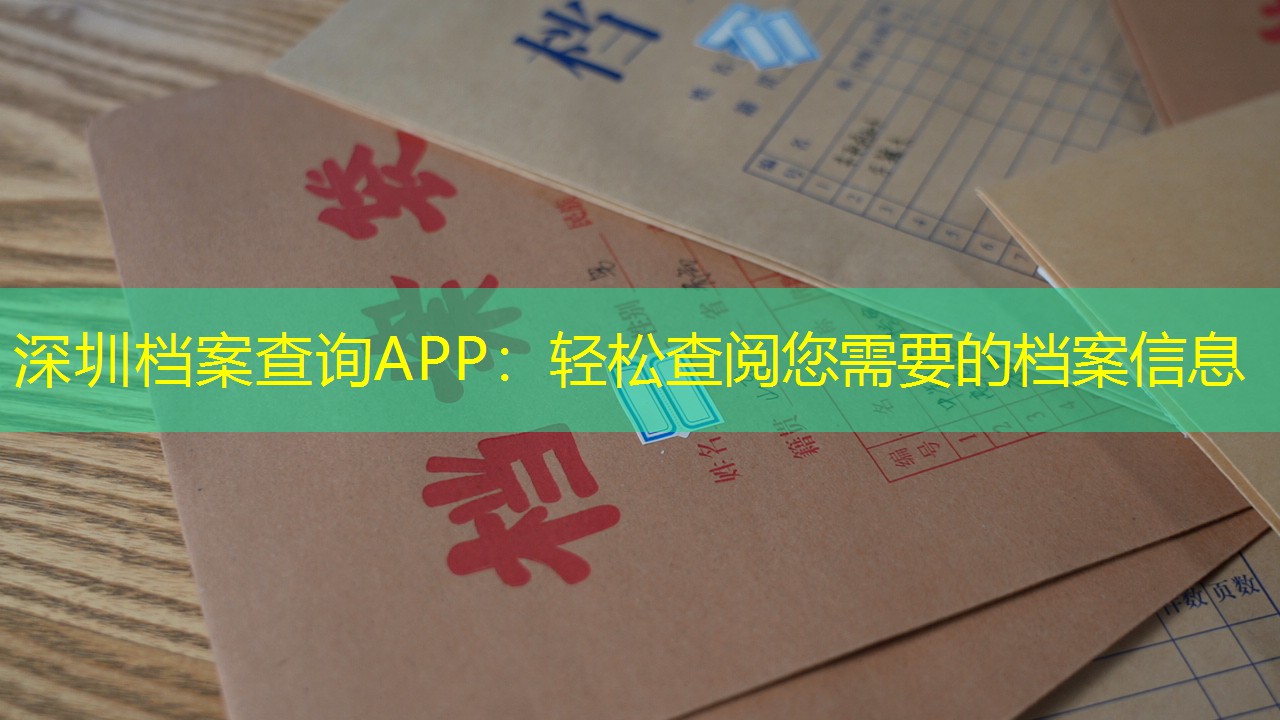 档案查询