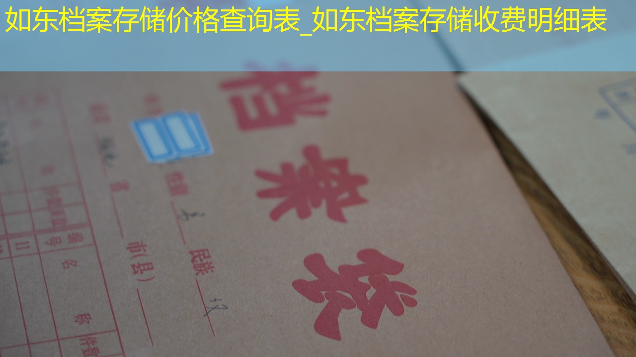 档案查询