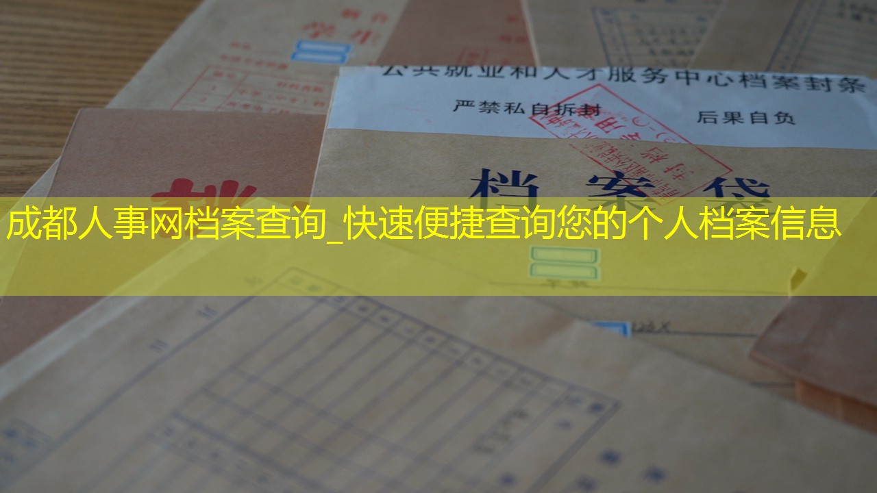 档案查询