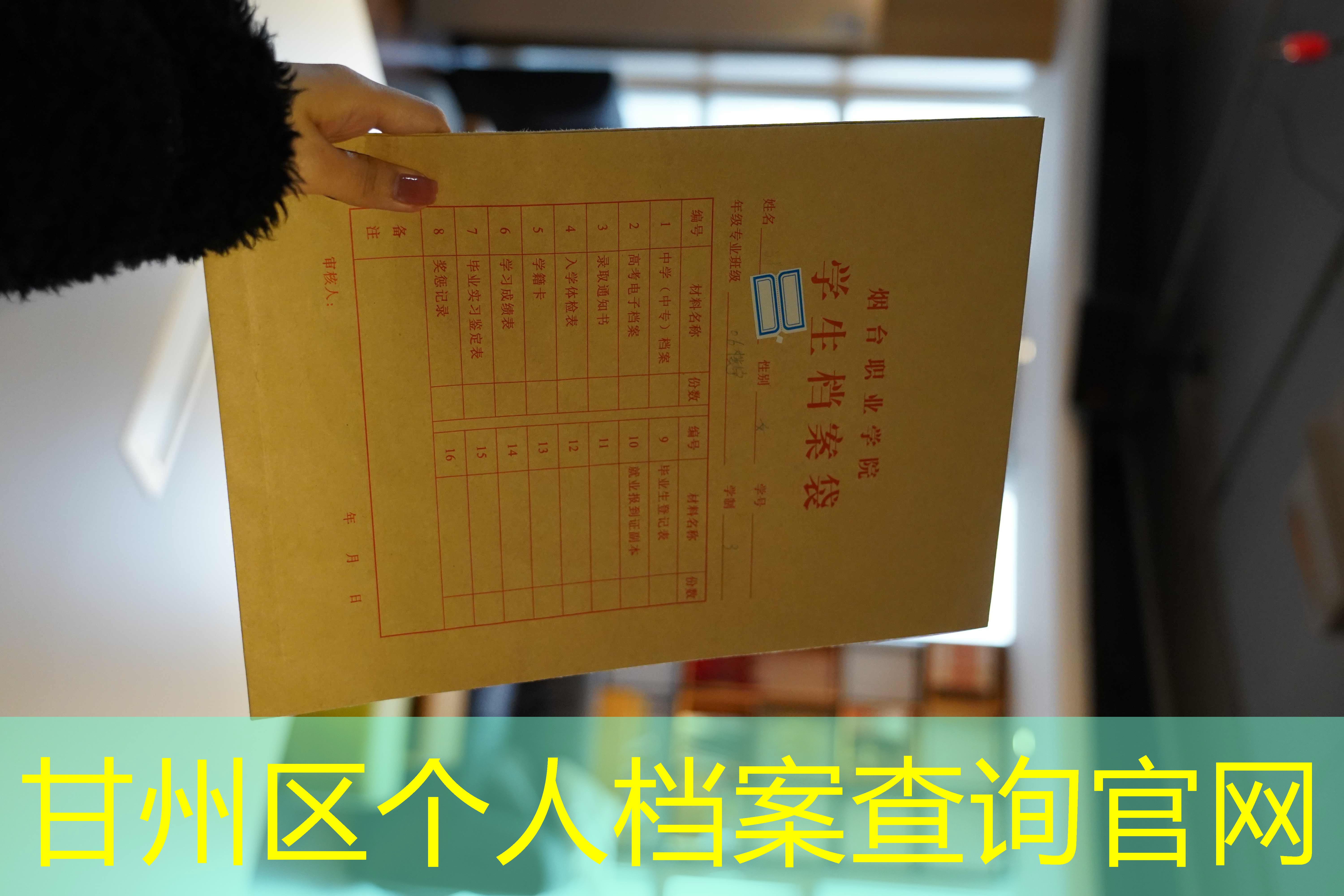 档案查询