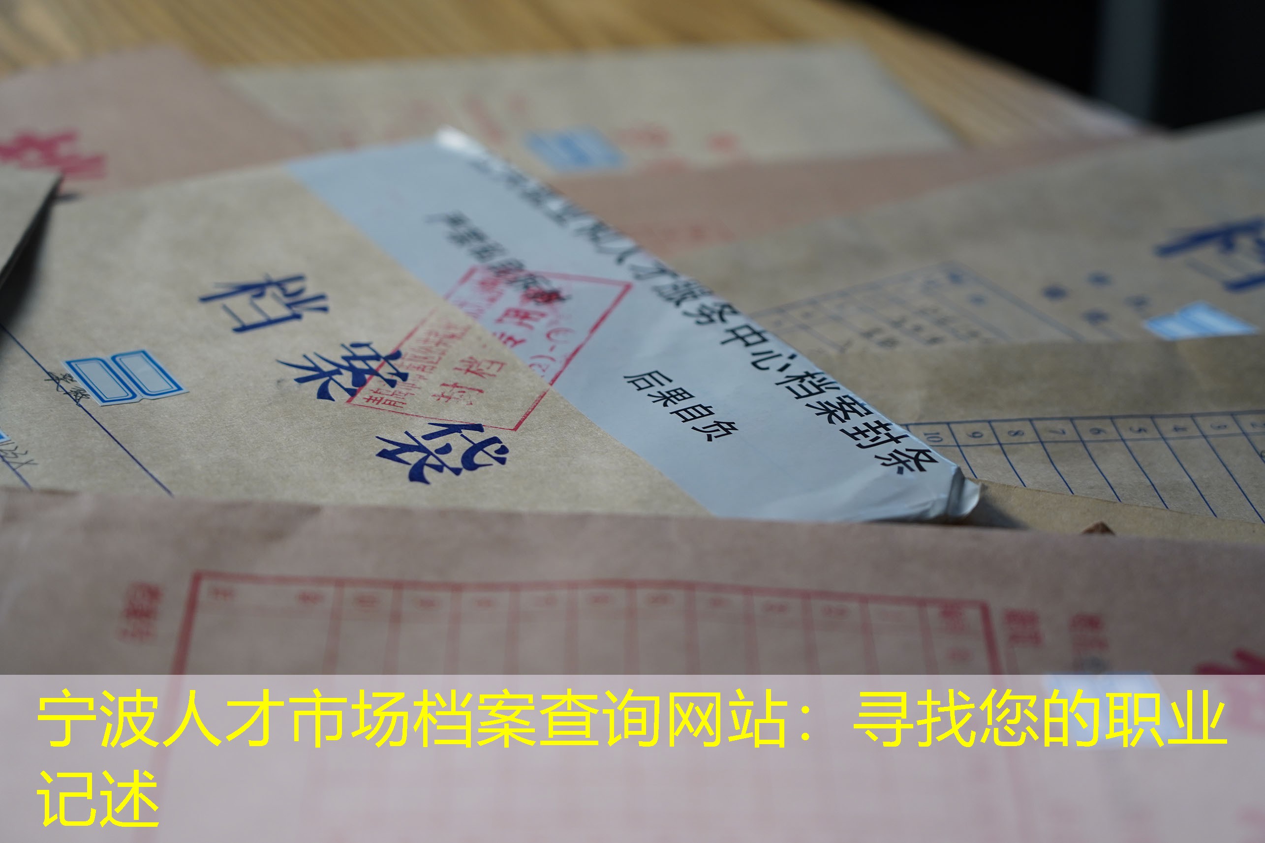 档案查询