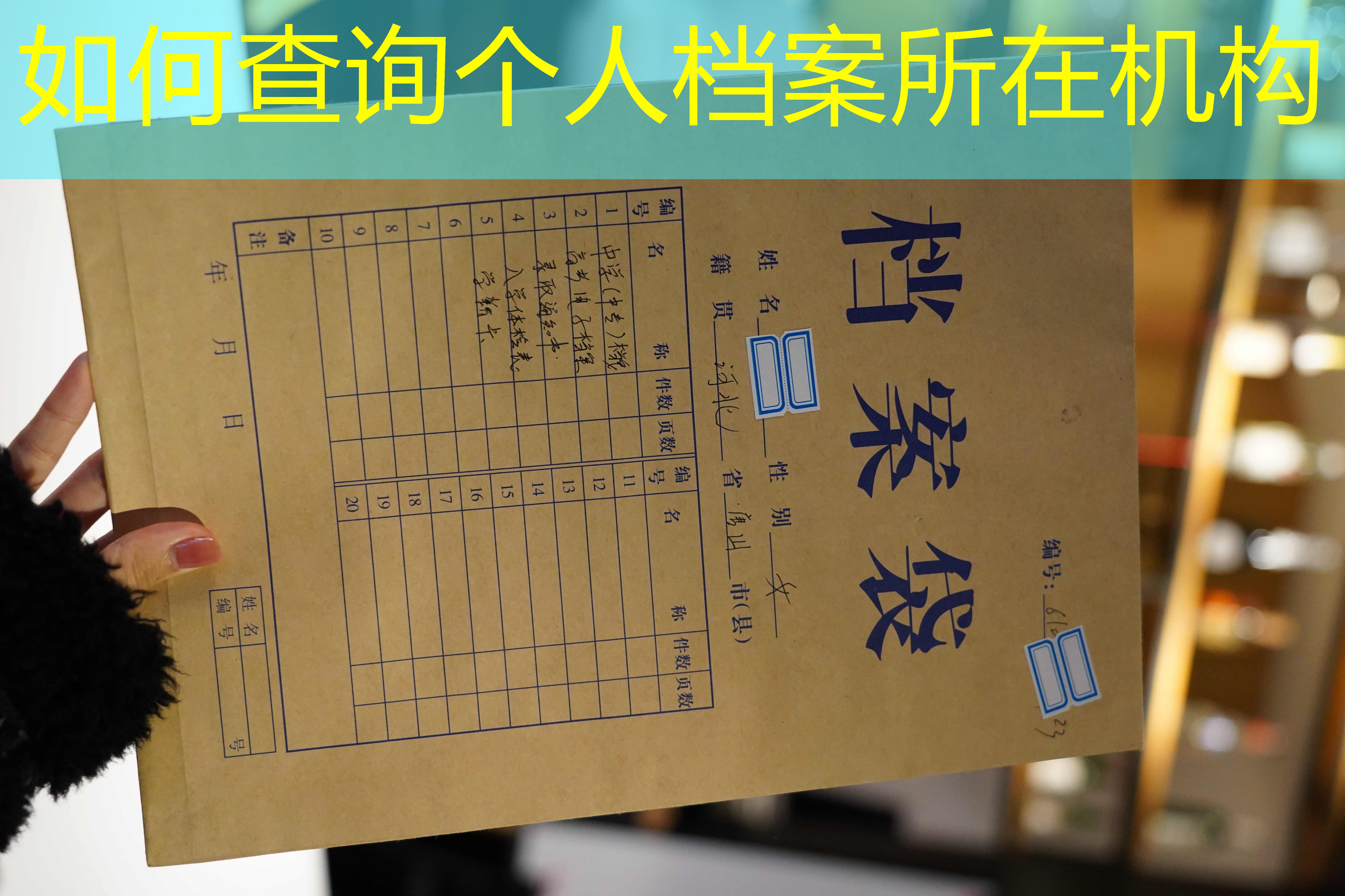 档案查询