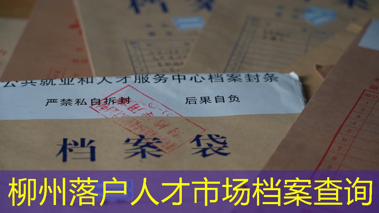 档案查询