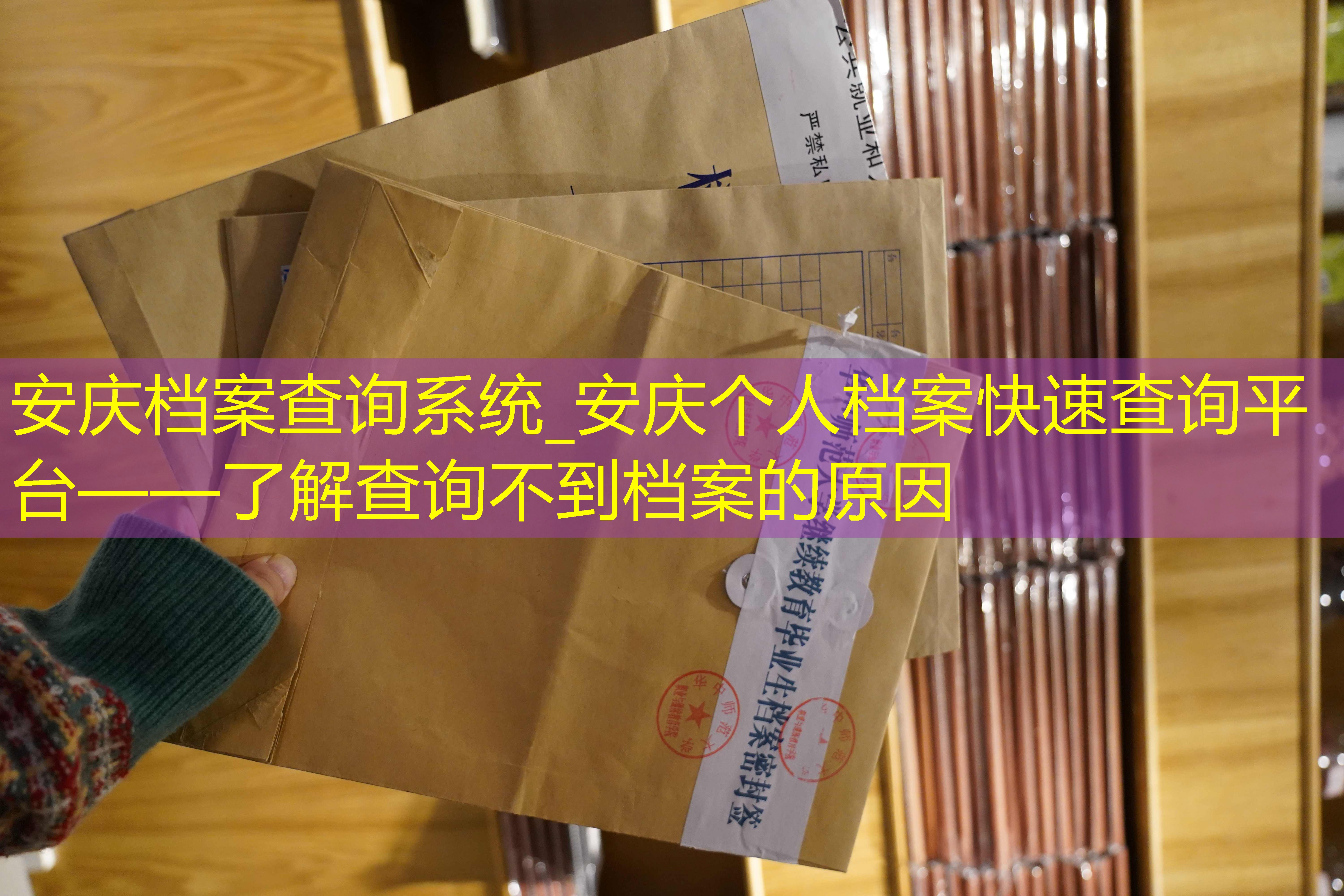 档案查询